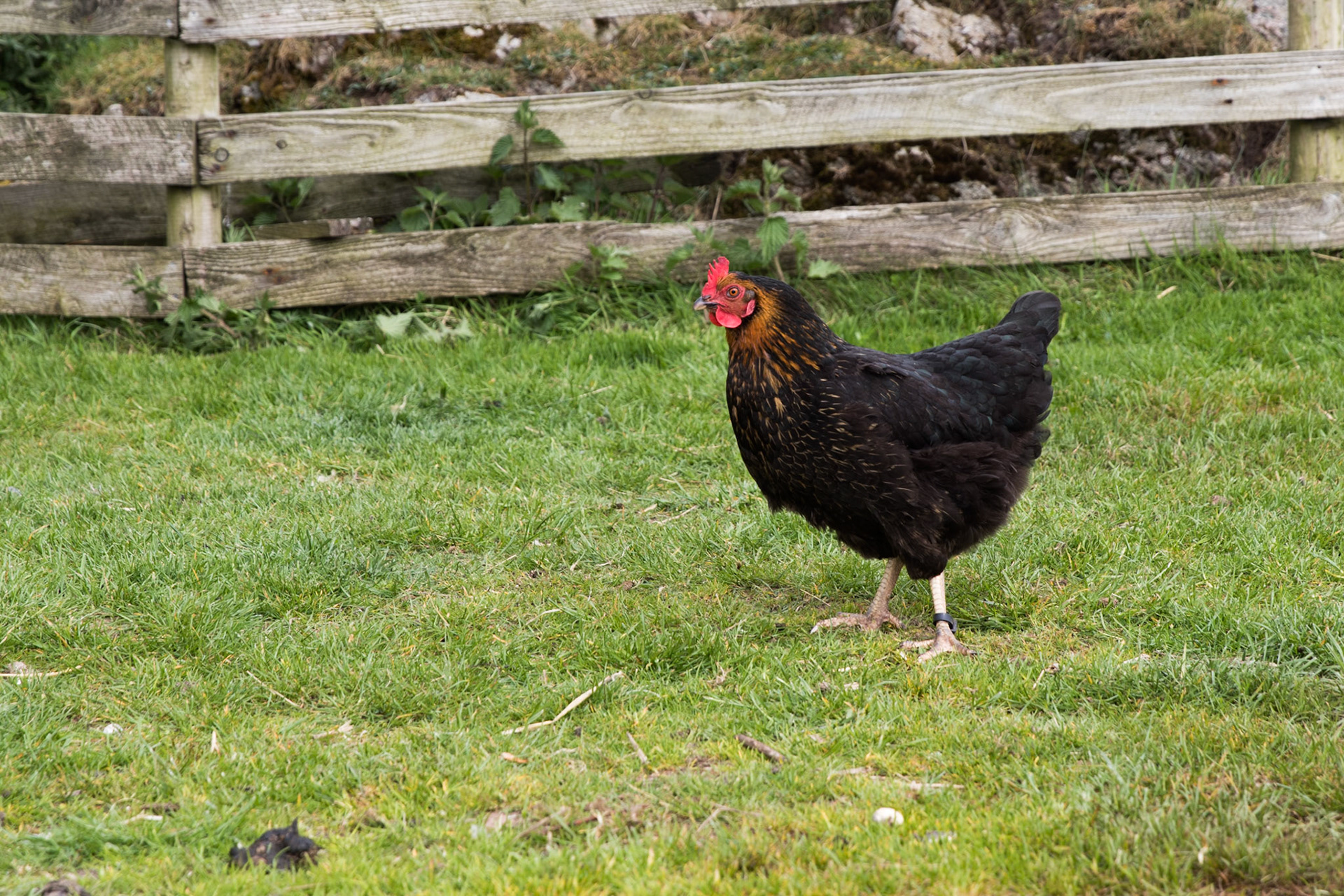 Isle of Iona, Scotland. May 19, 2019