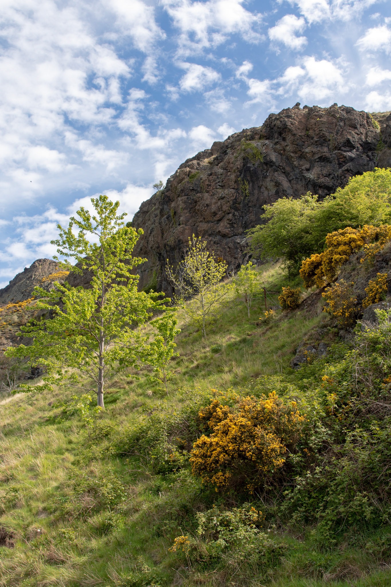Holyrood Park