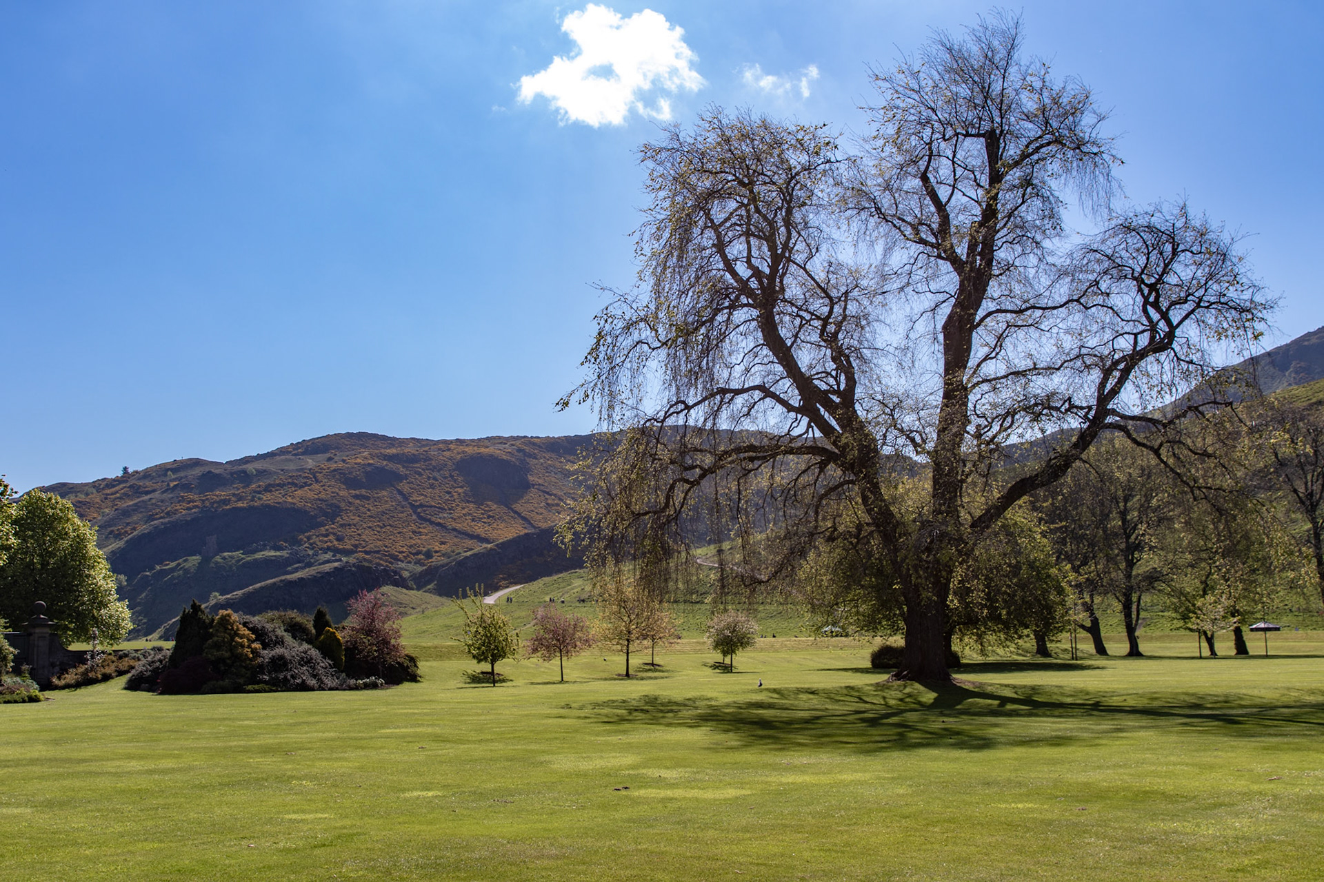 The Palace of Holyroodhouse - The Gardens