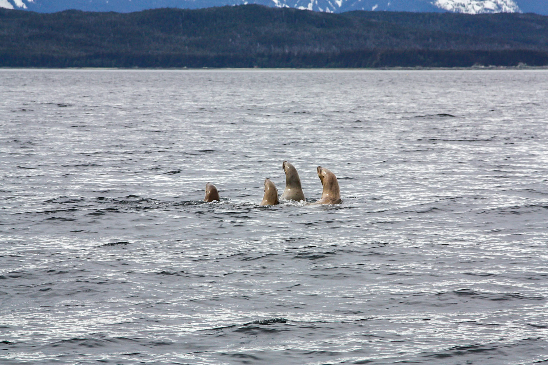 Juneau, Alaska. May 22, 2012