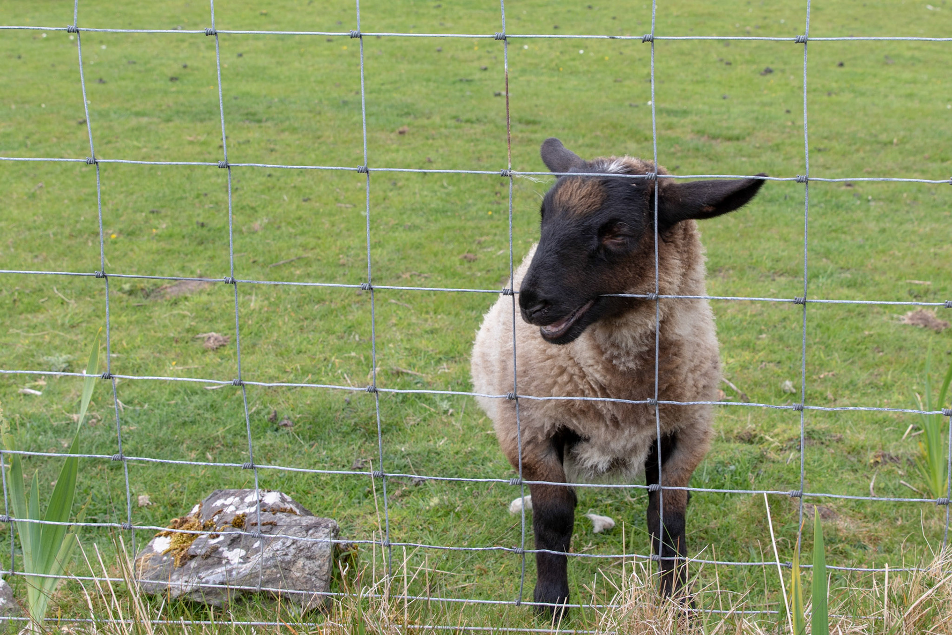 Isle of Iona, Scotland. May 19, 2019
