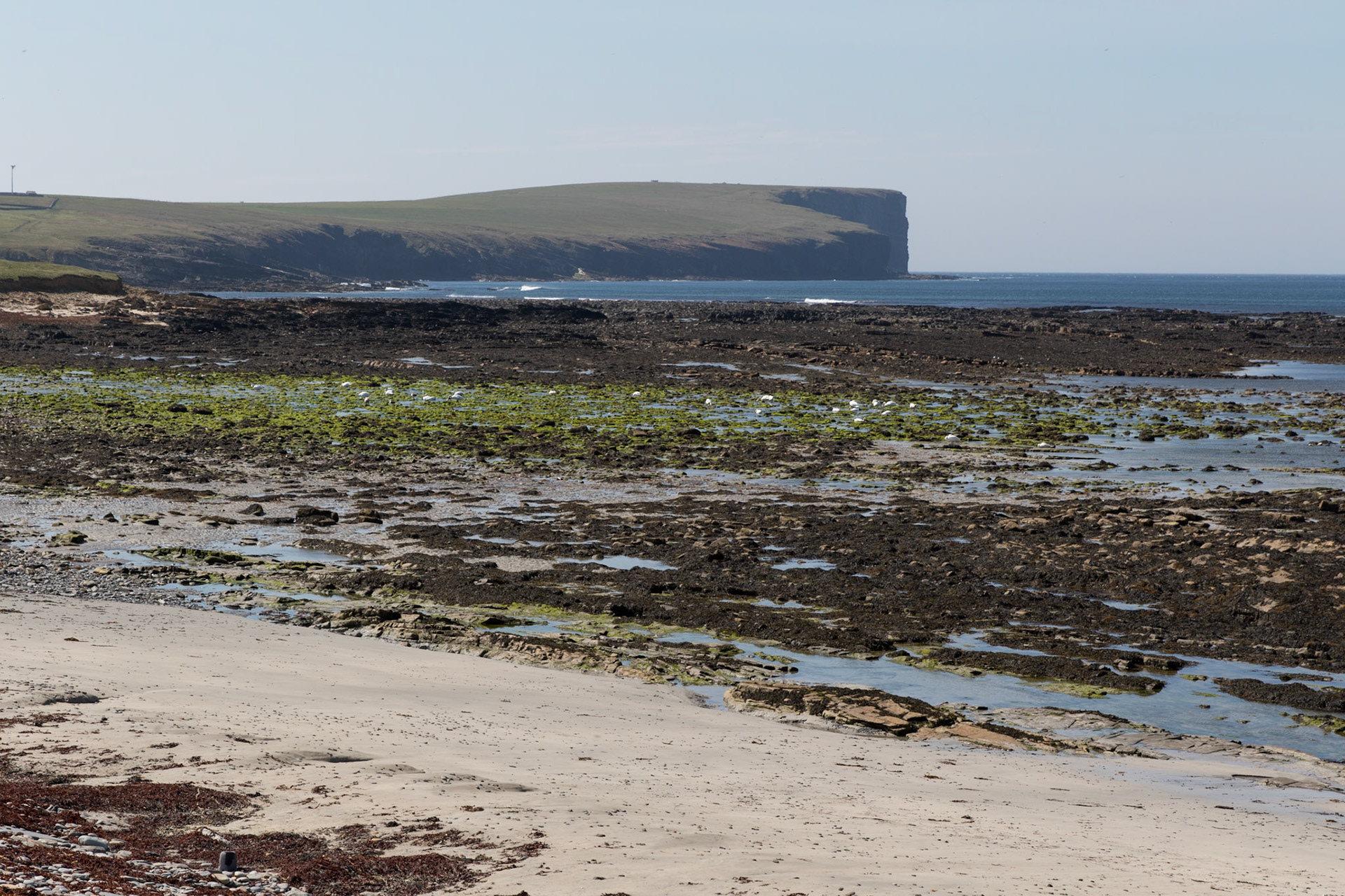 Birsay Bay, Orkney