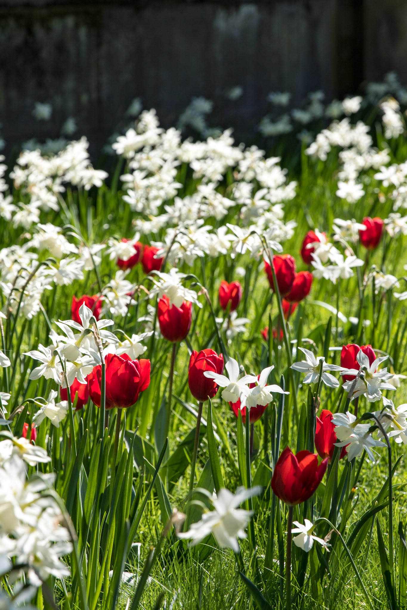 The Palace of Holyroodhouse - The Gardens
