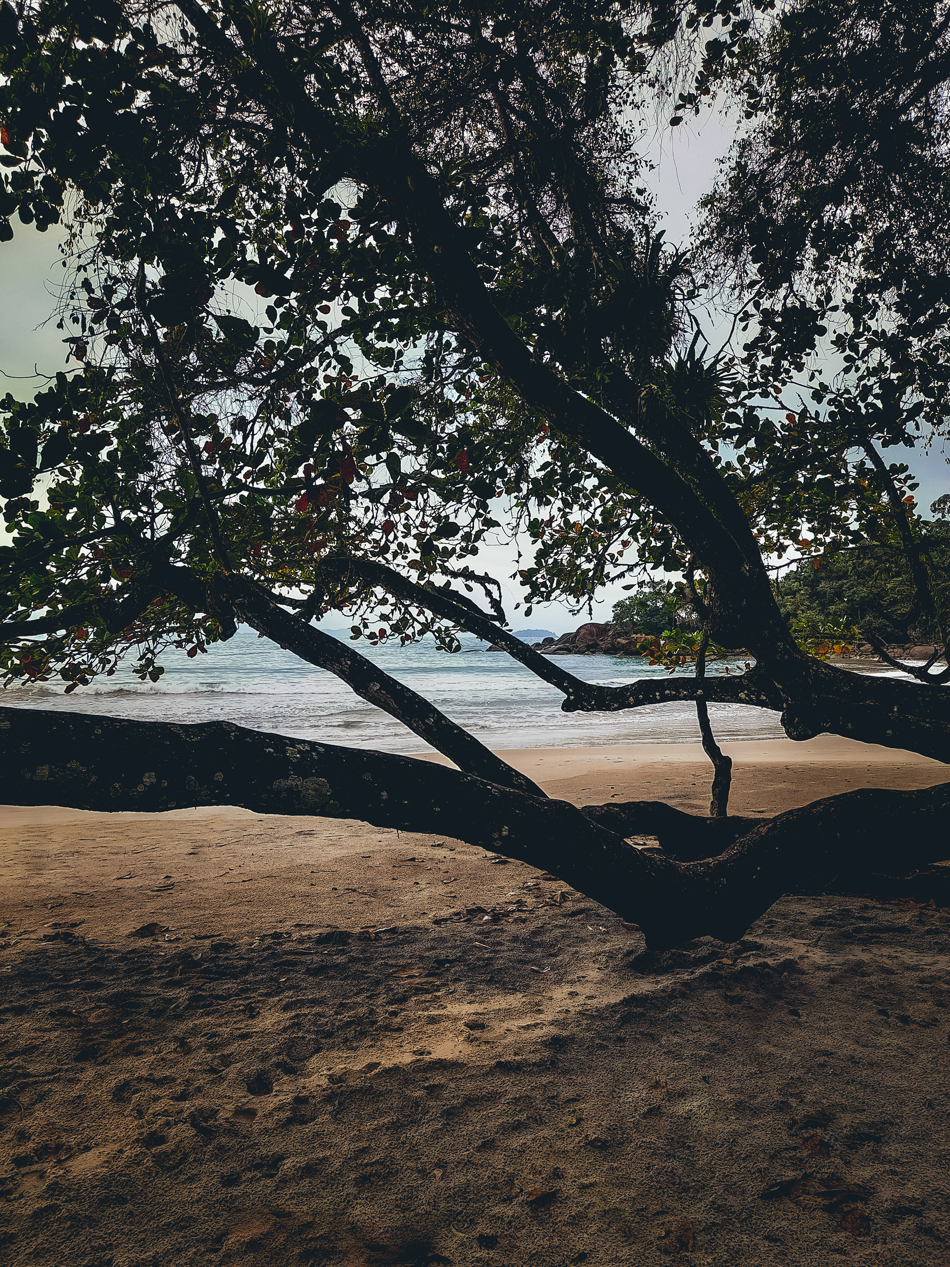 Ubatuba / Samsung