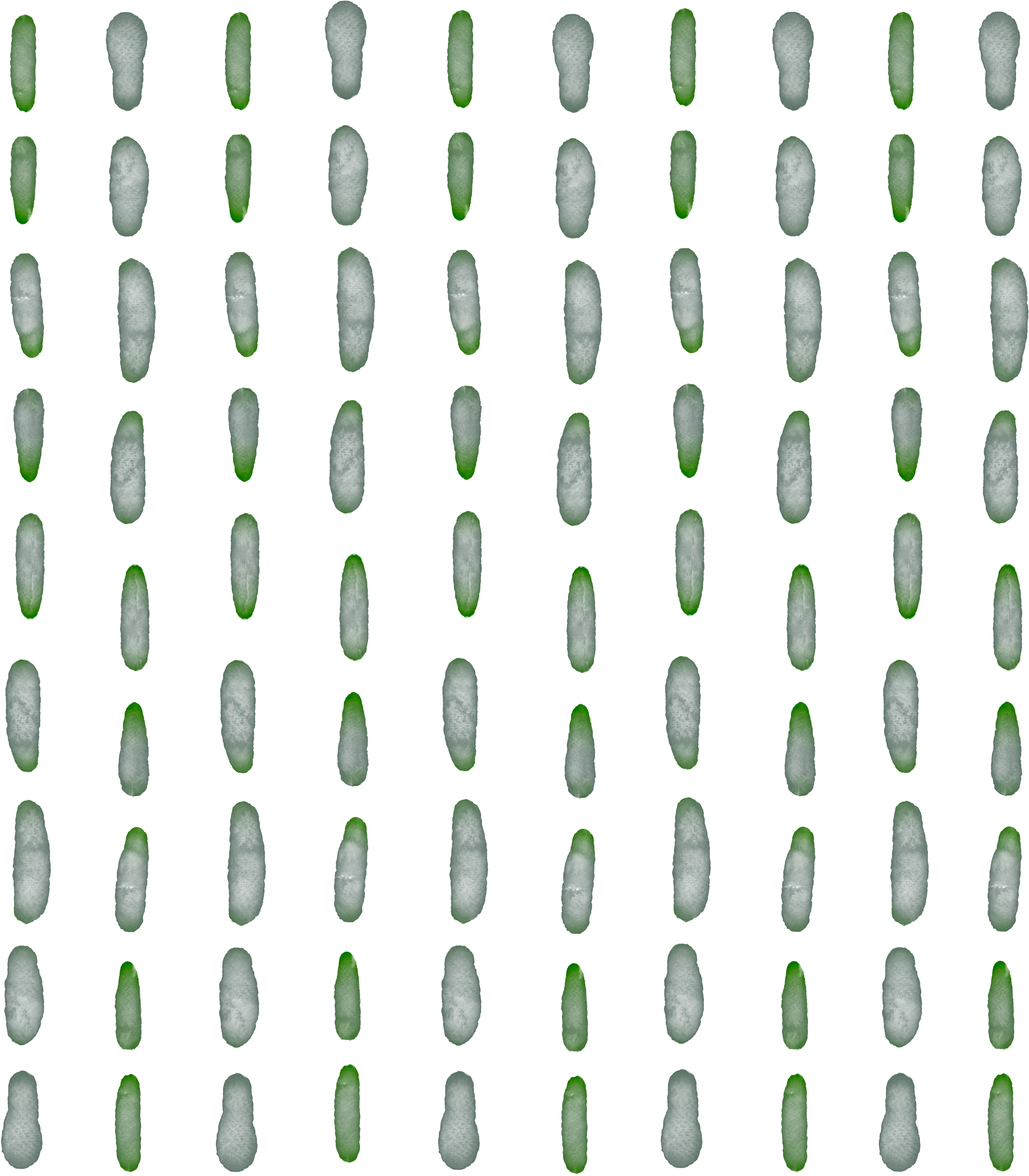 Gray & Green