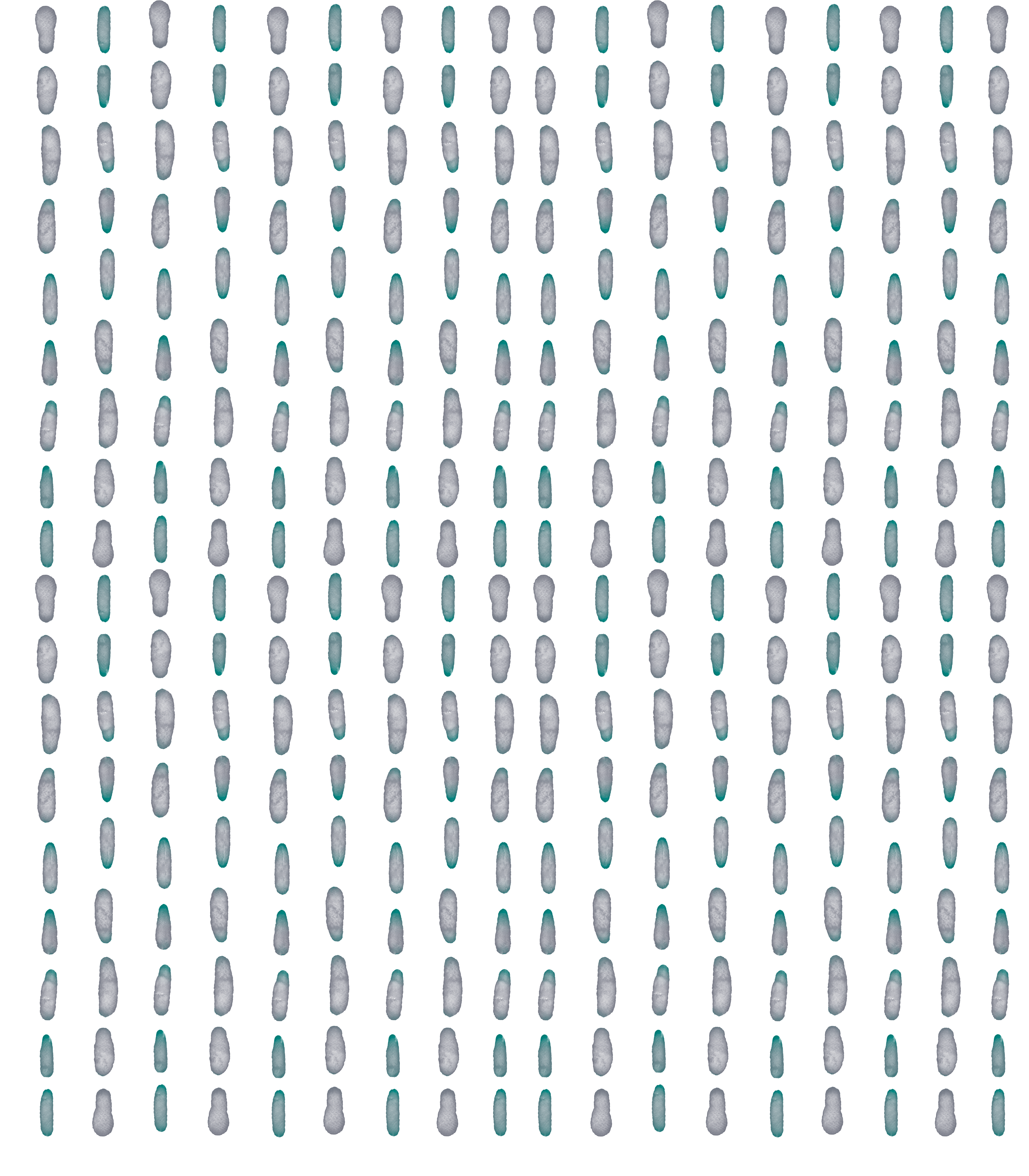 Teal and lavender