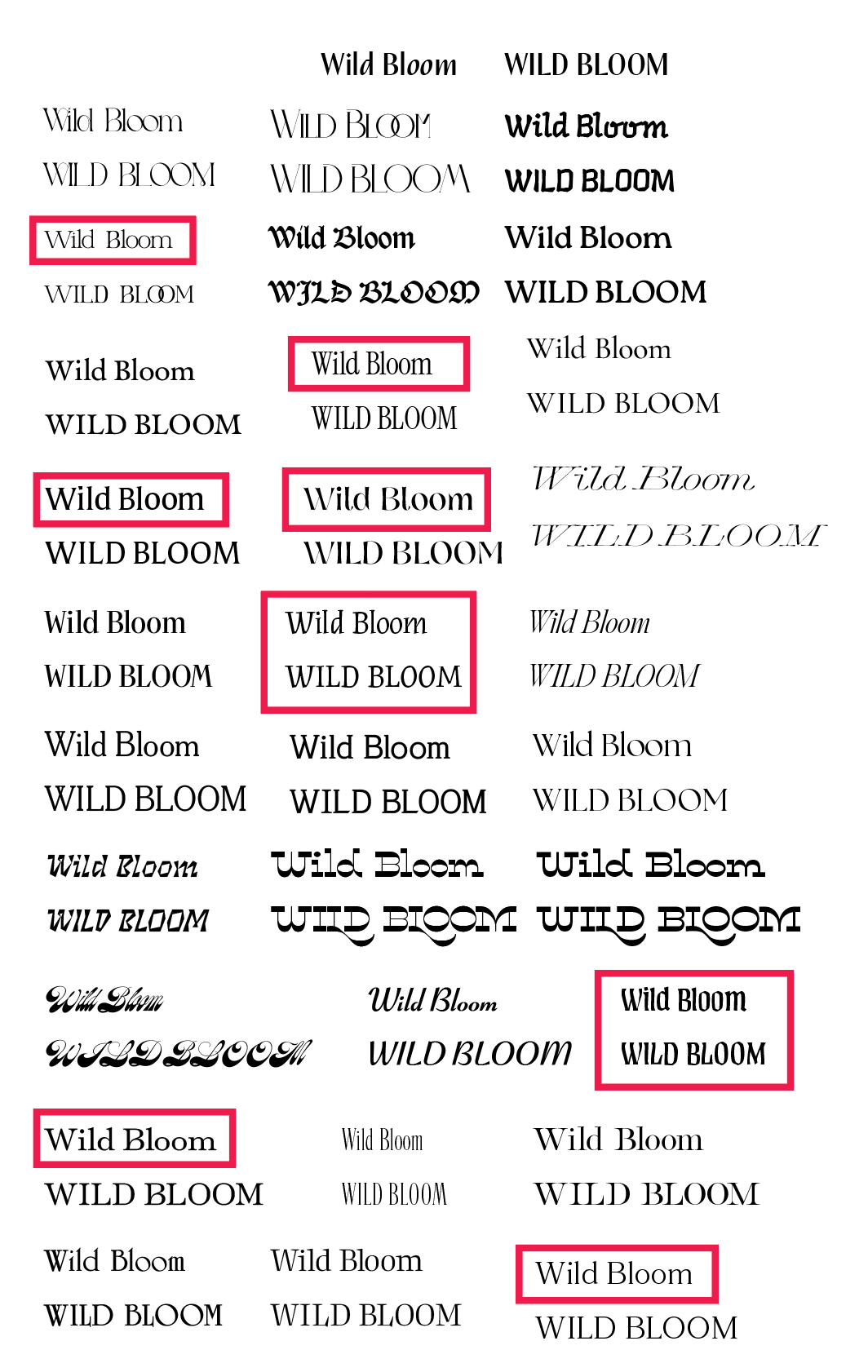 Logotype Exploration