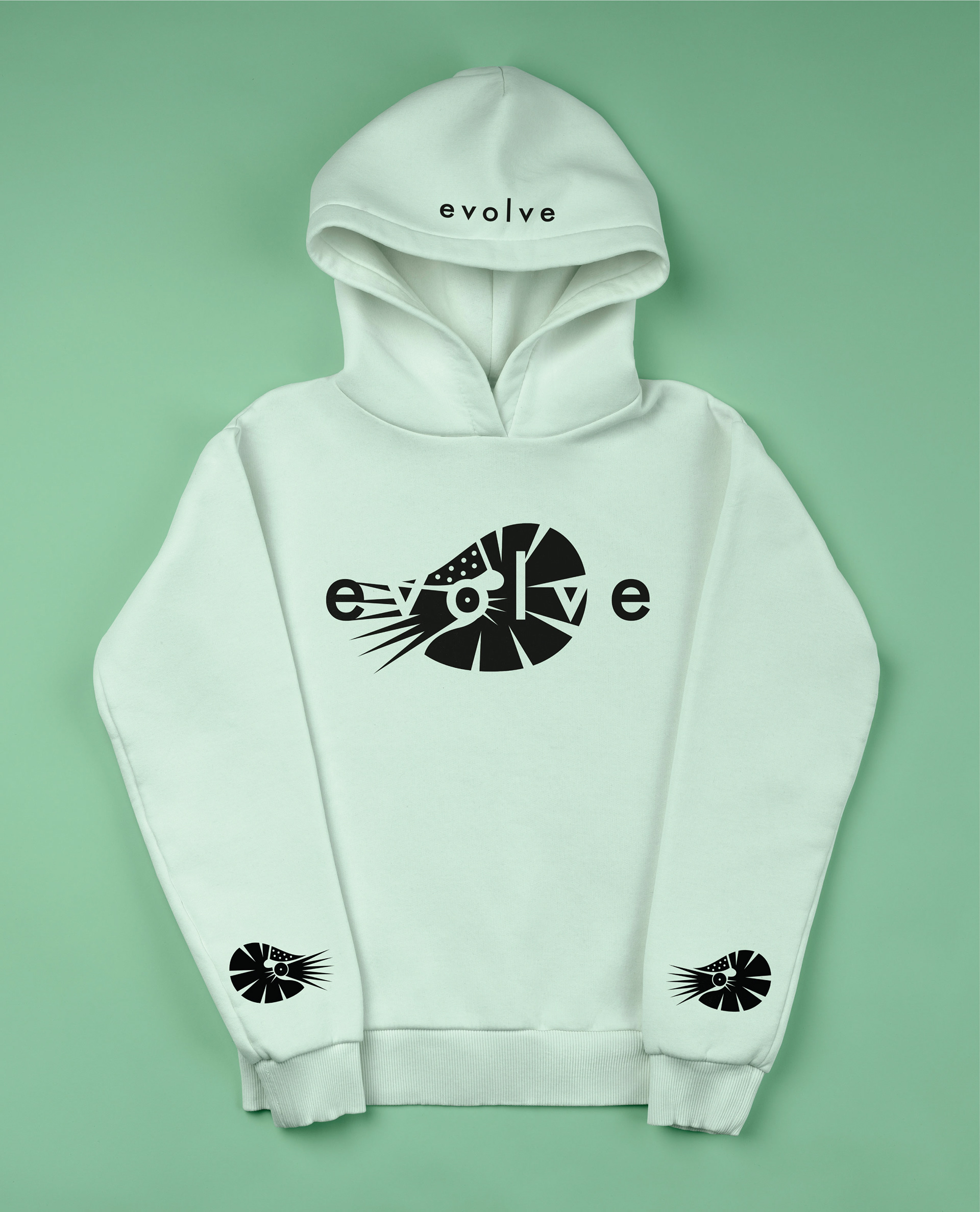 A continuation of the fictional surfing brand "evolve"