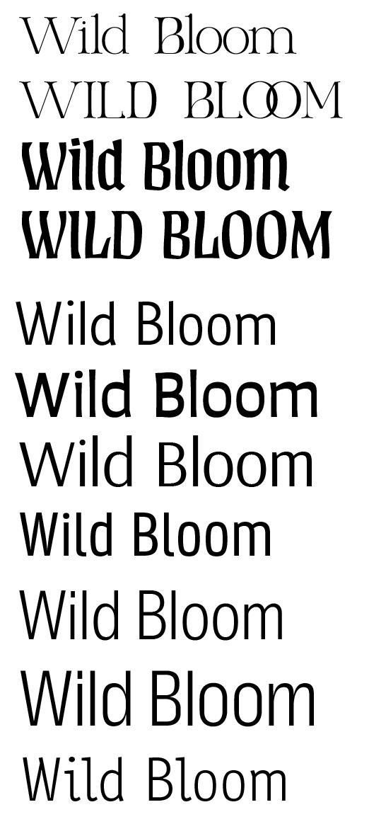 Typographic Combination Exploration