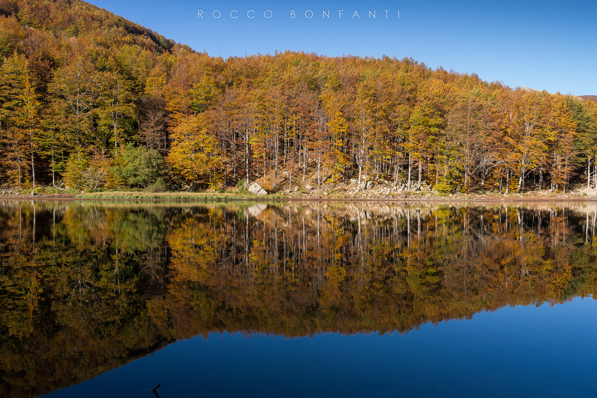 riflessi autunnali