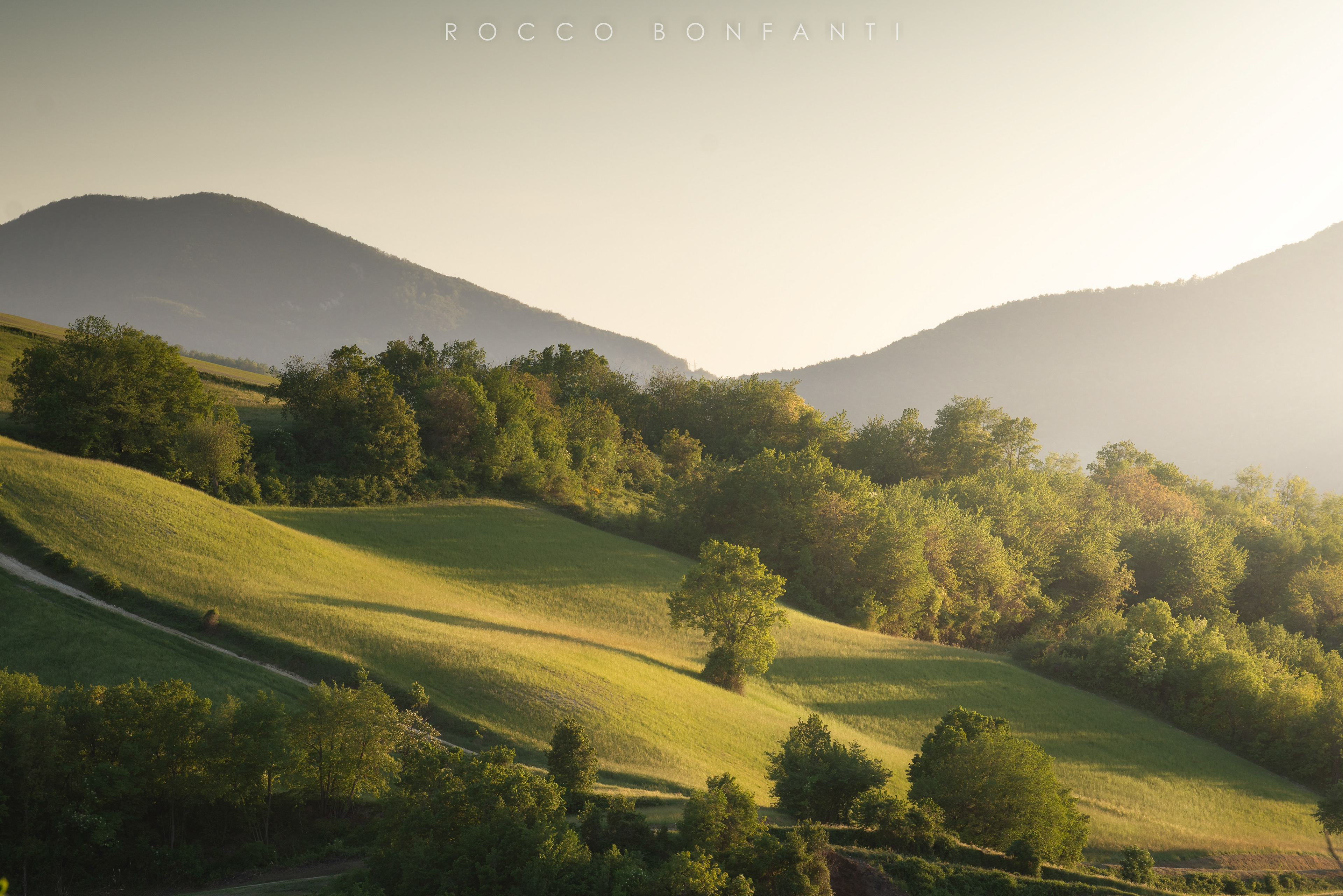 armonia al tramonto