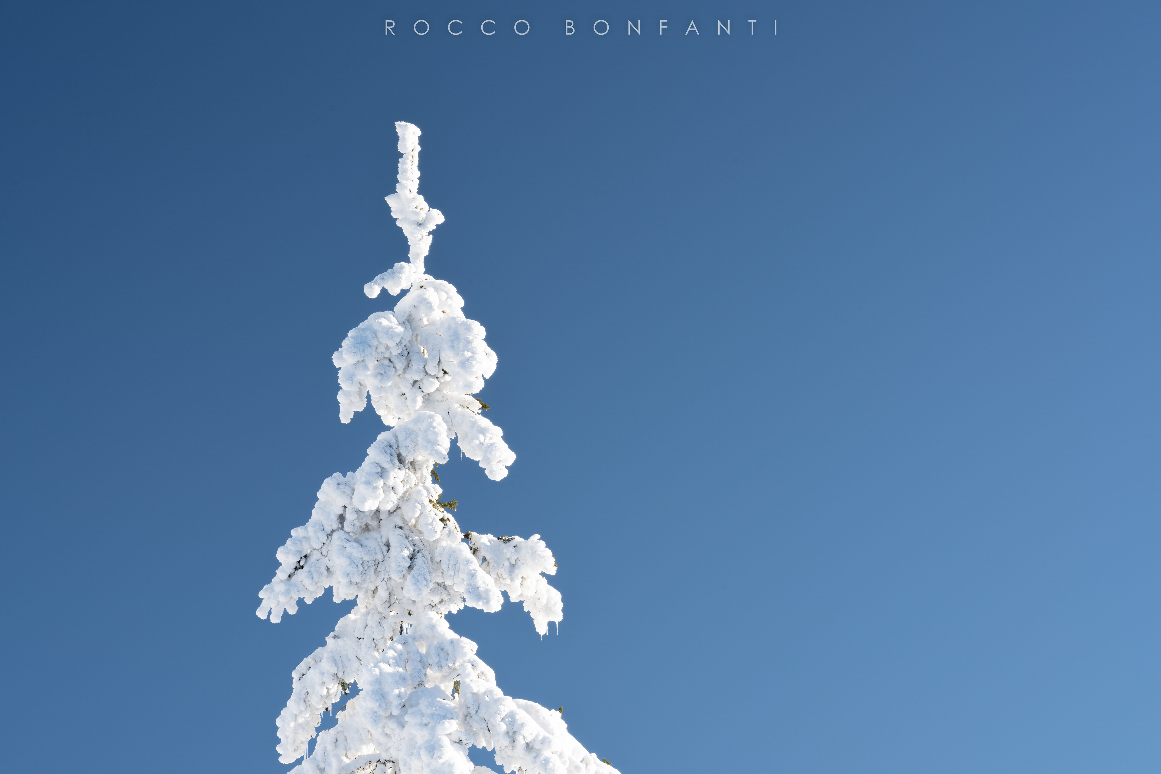 frozen