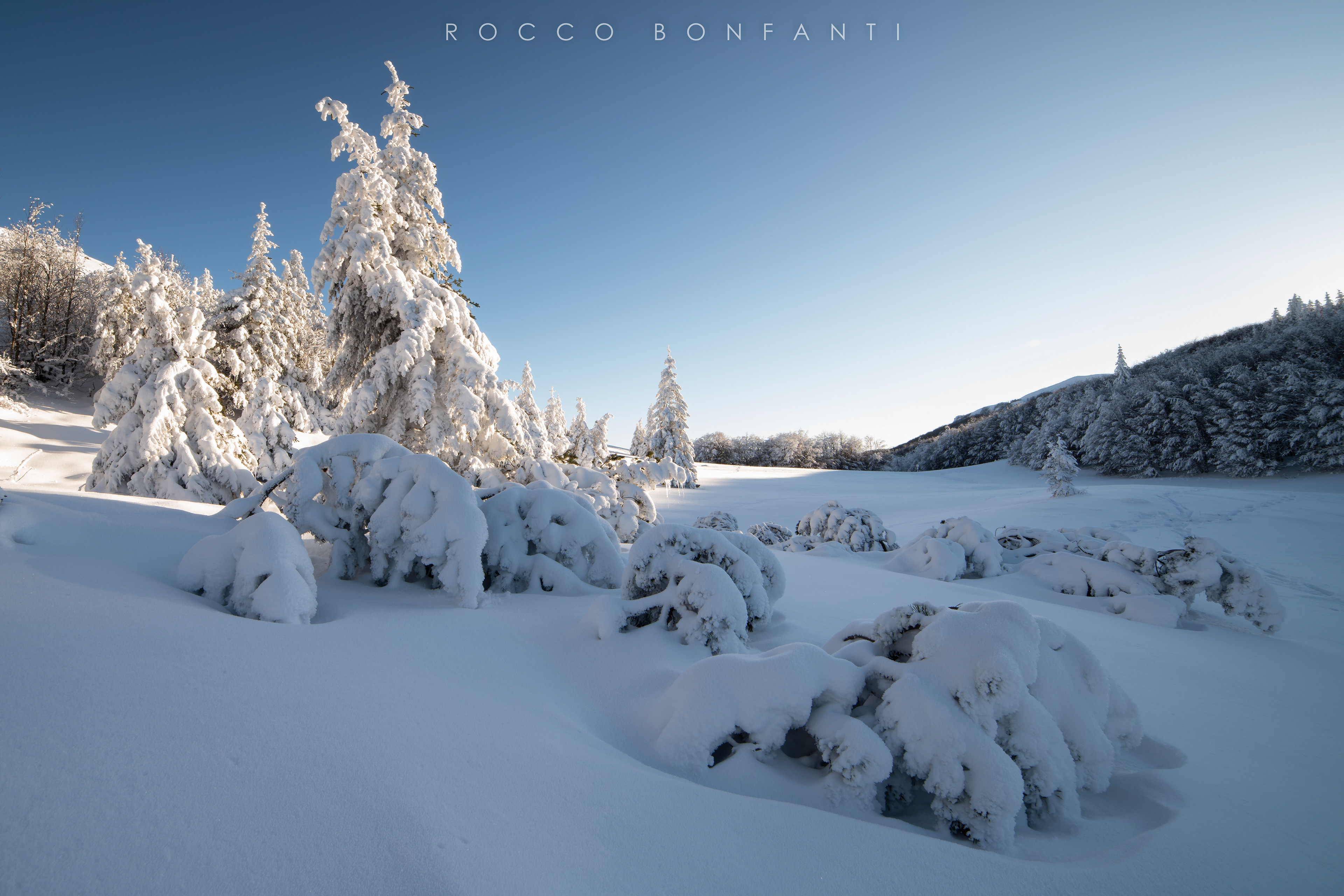 il peso della neve