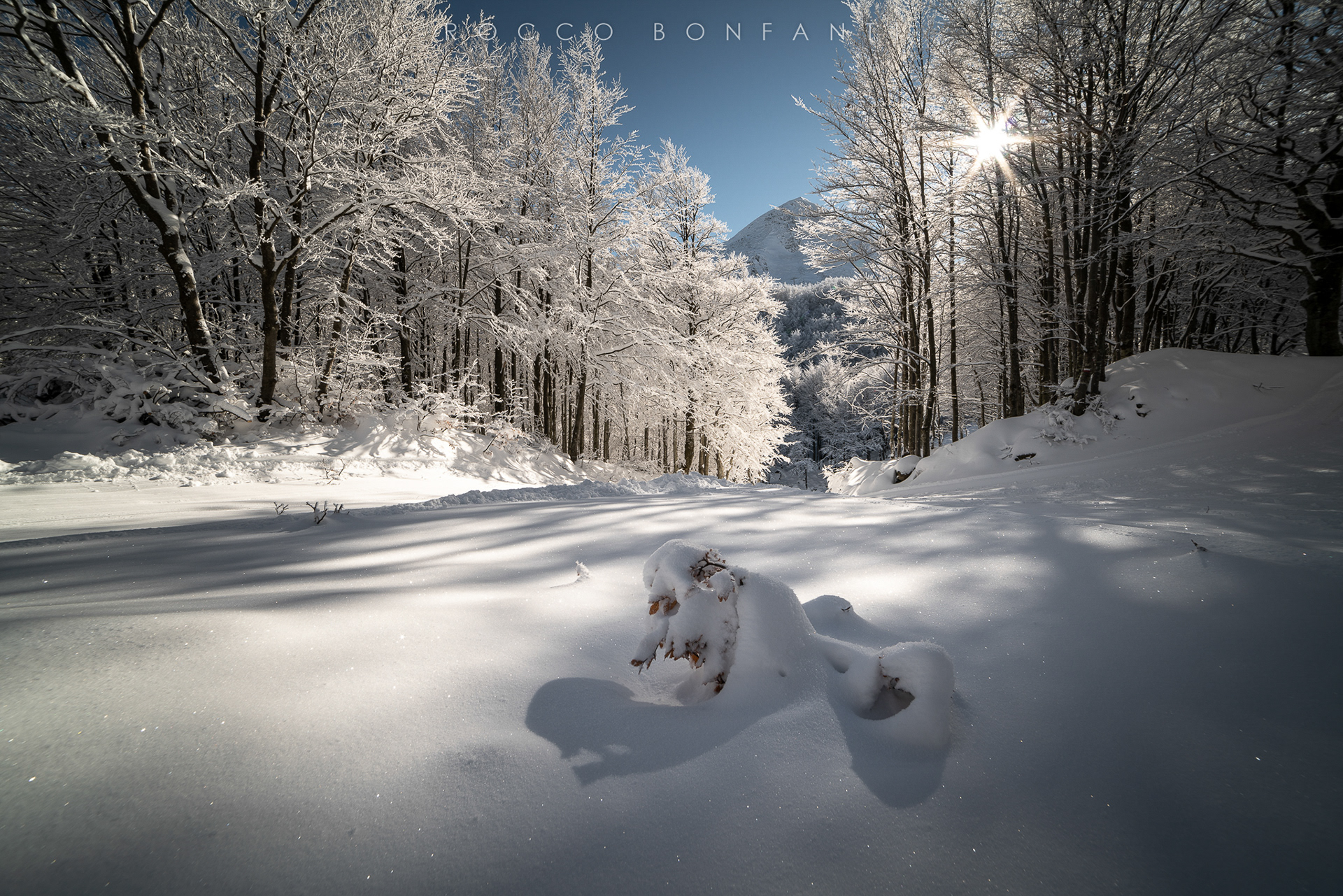 bagliore d'inverno