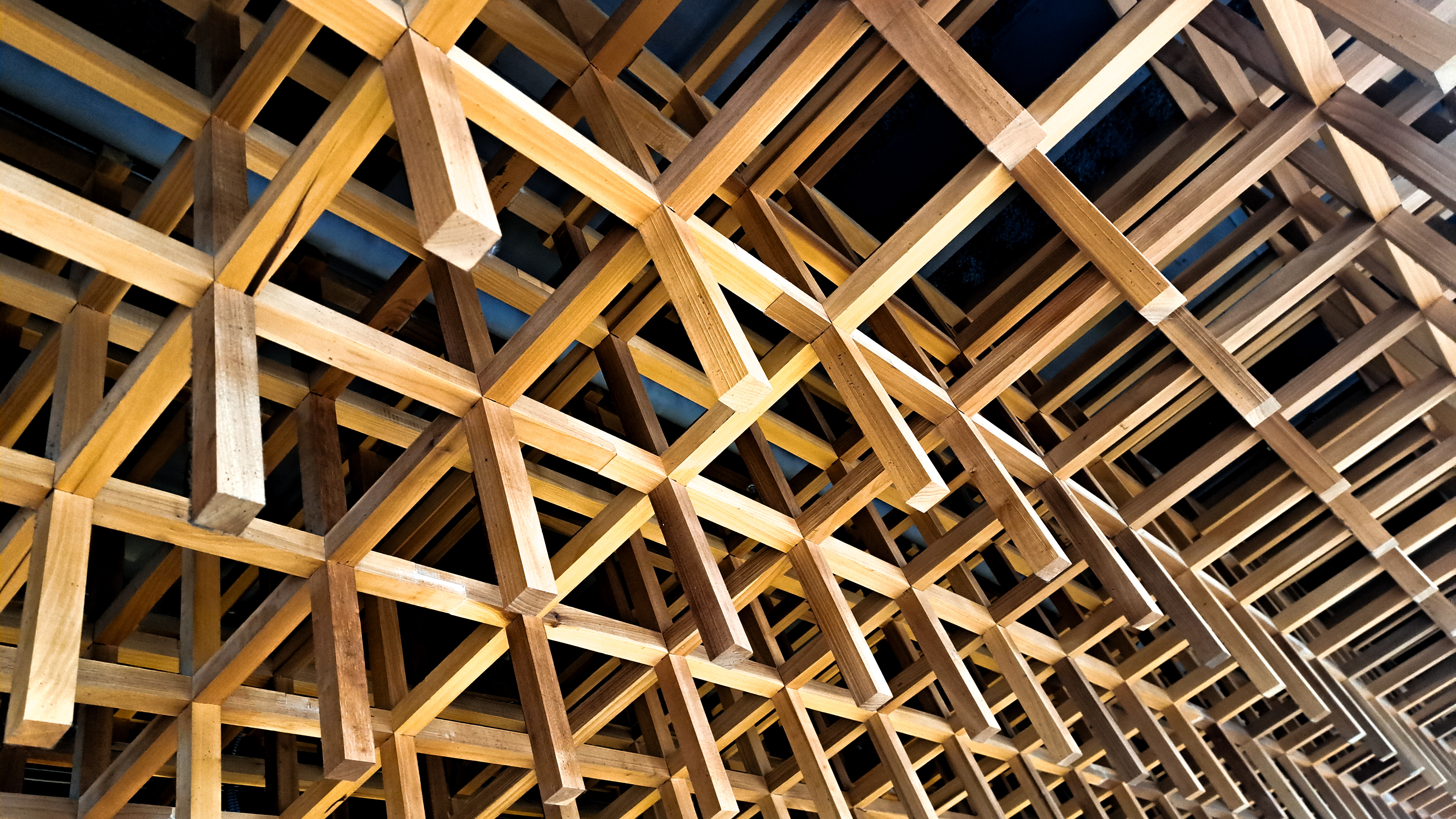15 The Roof is Made of Bones