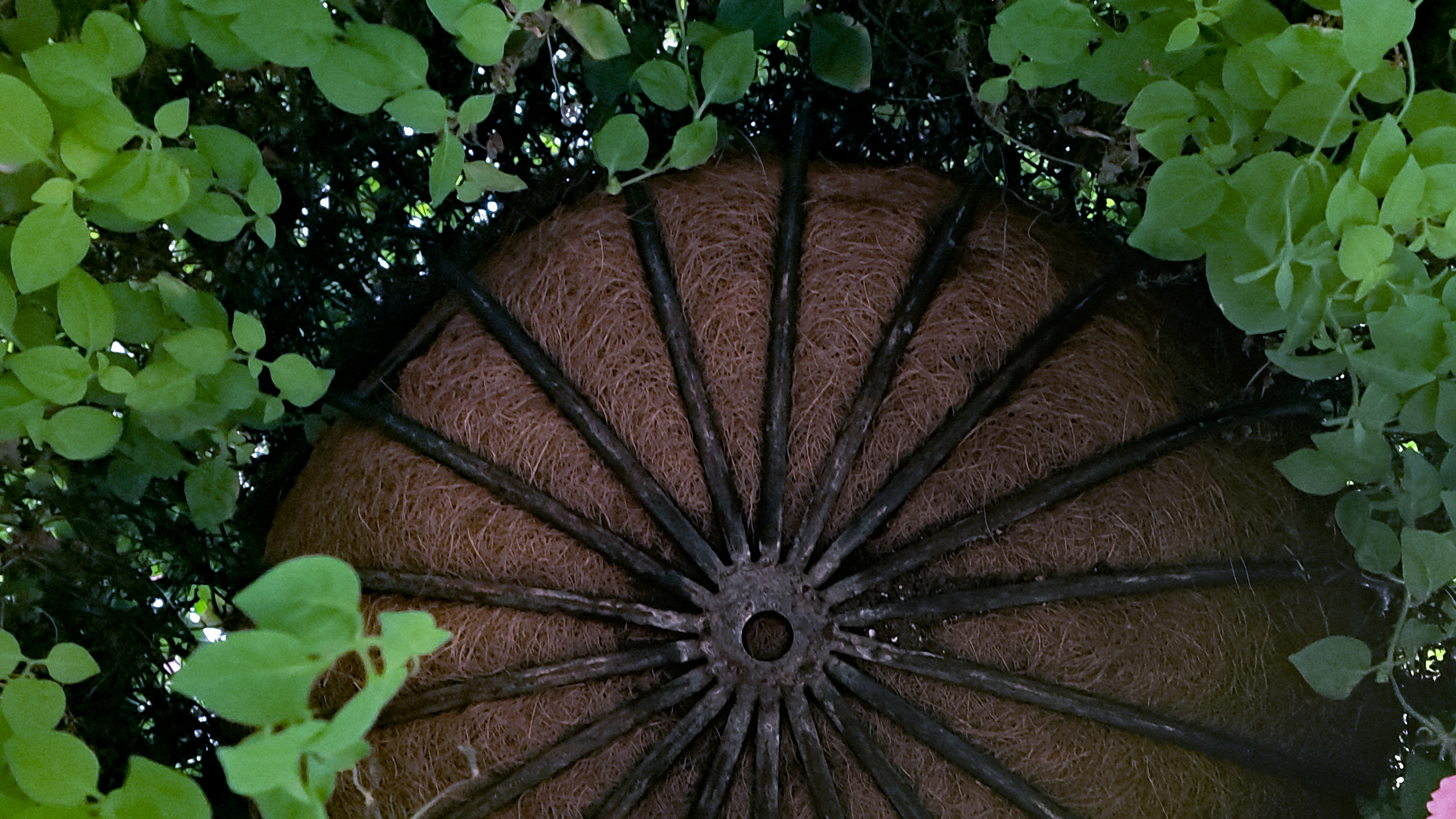 04 Looking Up