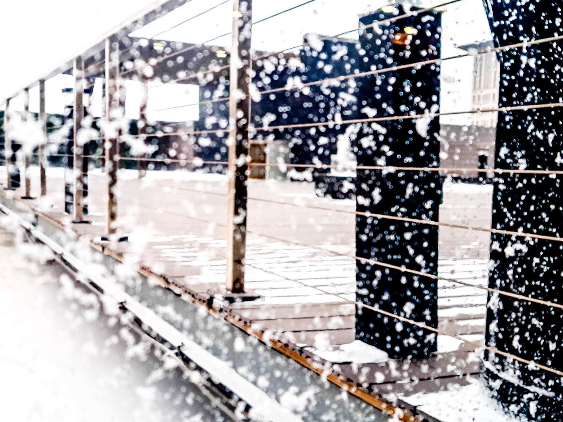 17 Mid March Snow Shower