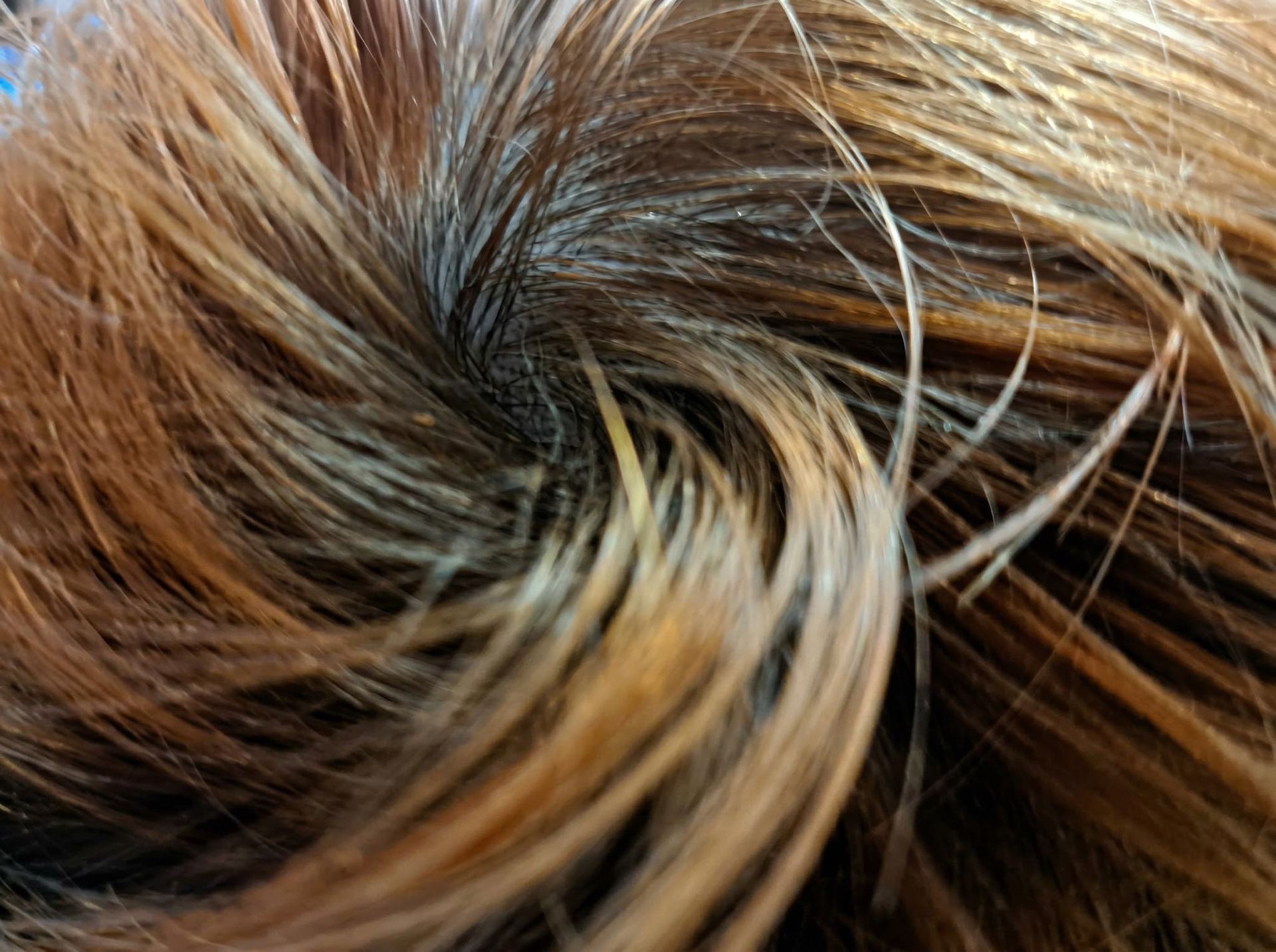 08 Near Radial Symmetry