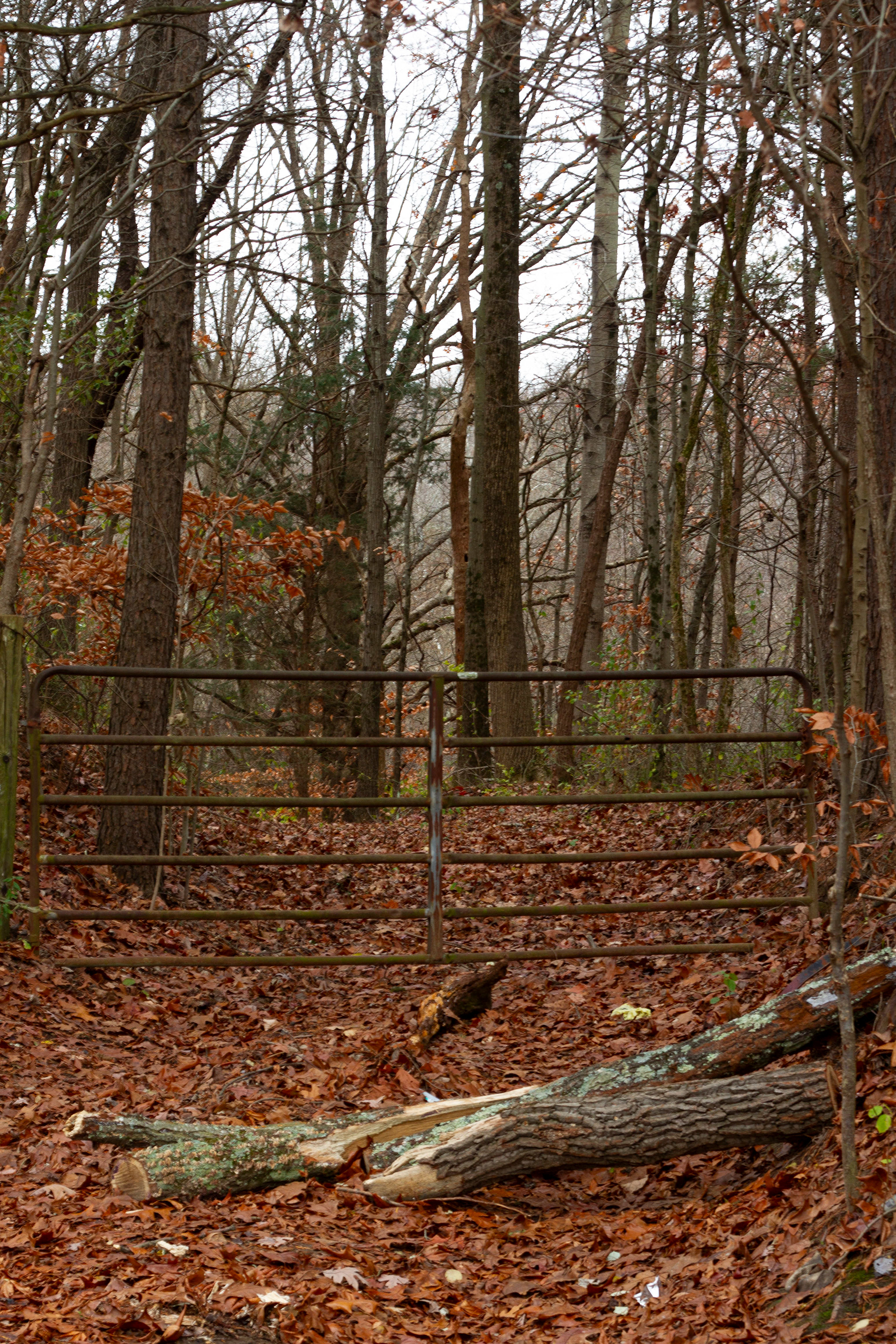 Gated Community, 2024