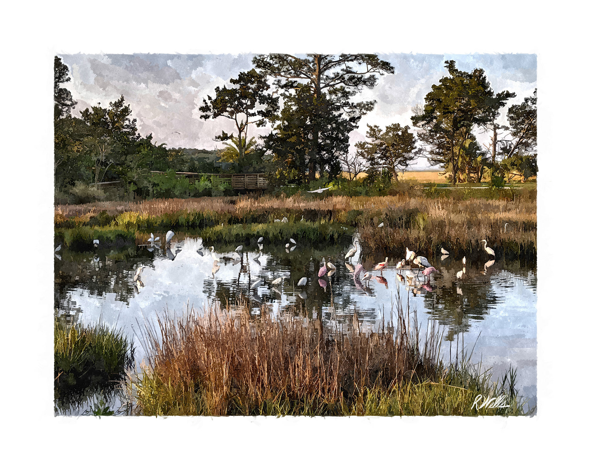 Crane Island March II