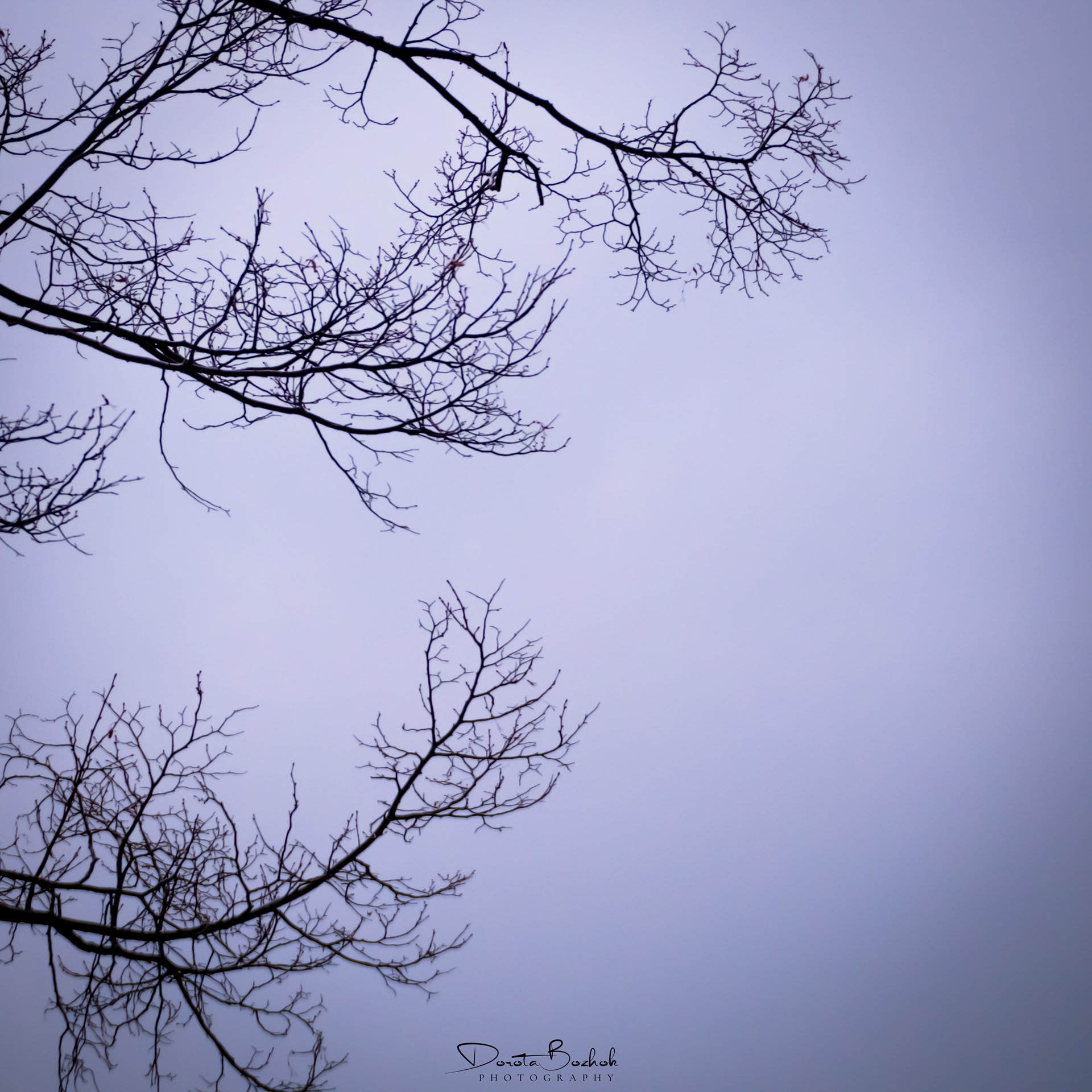 79/365