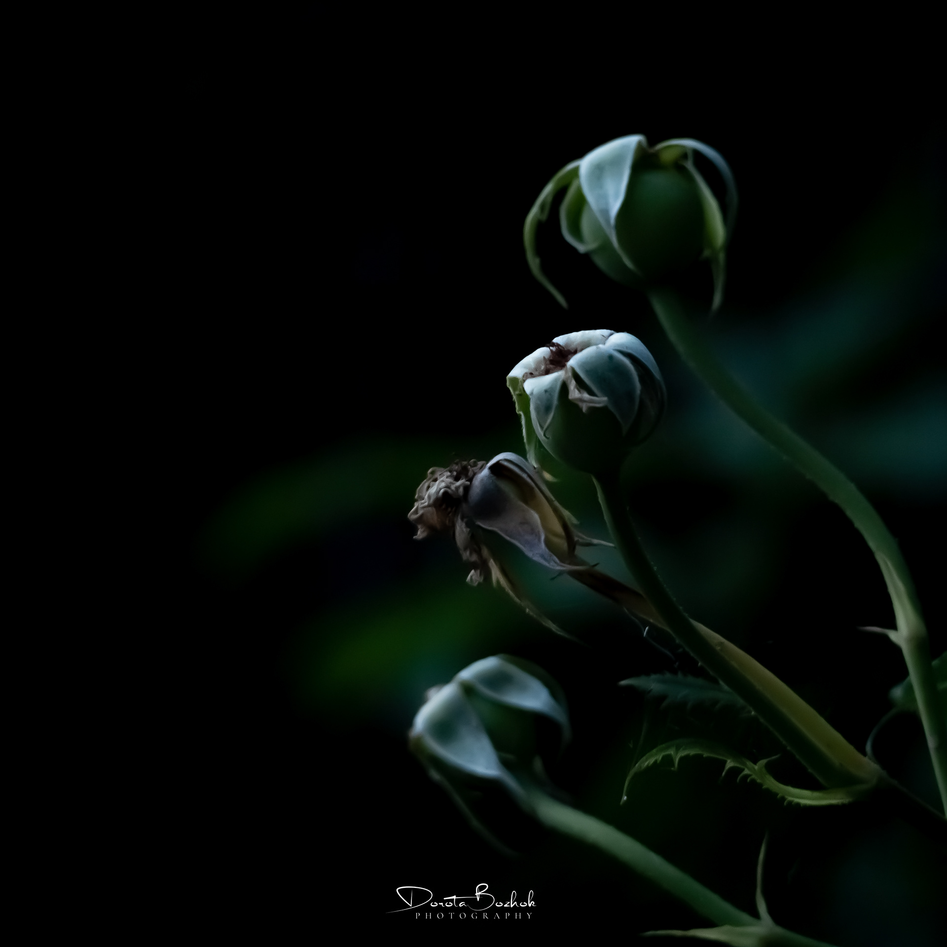 227/365