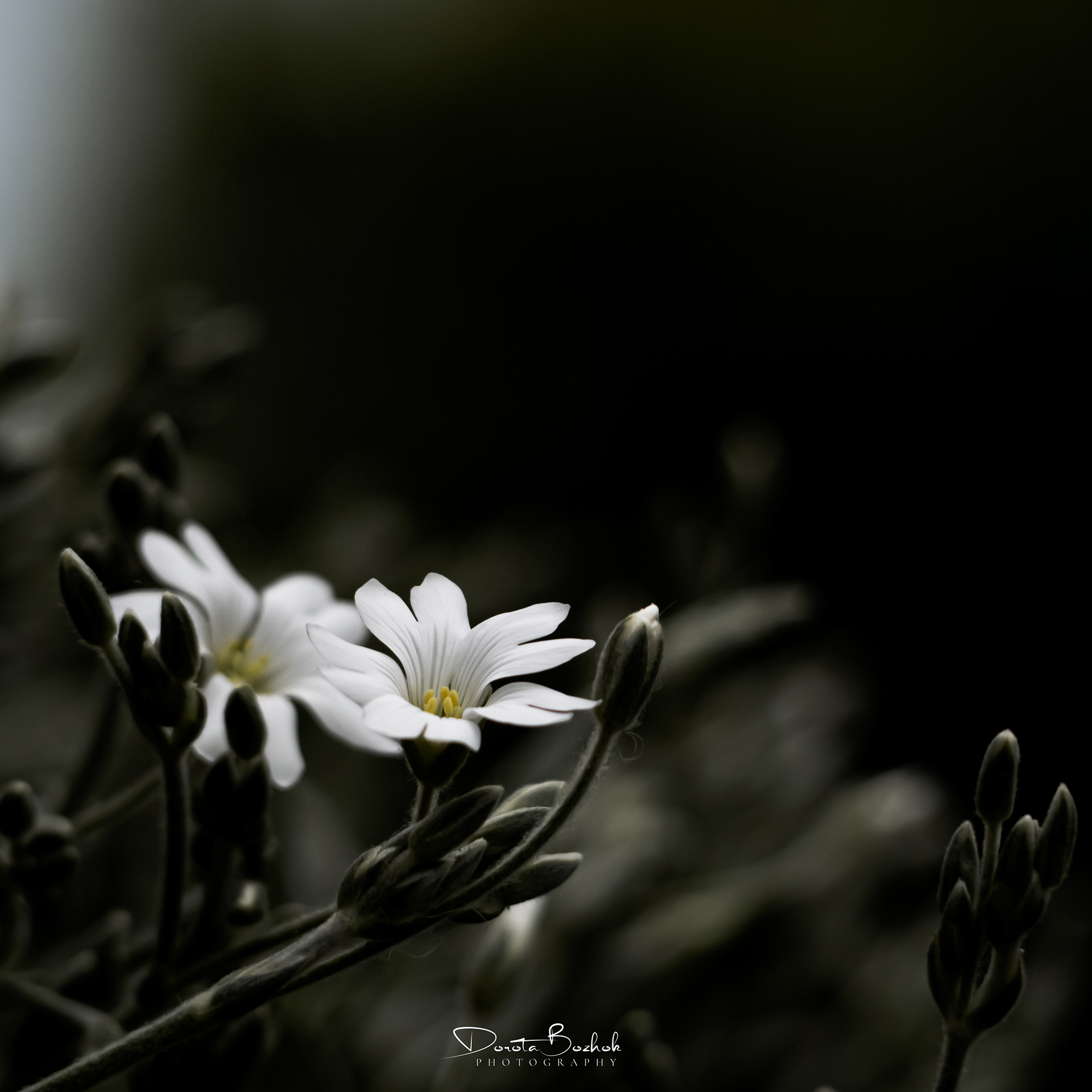141/365