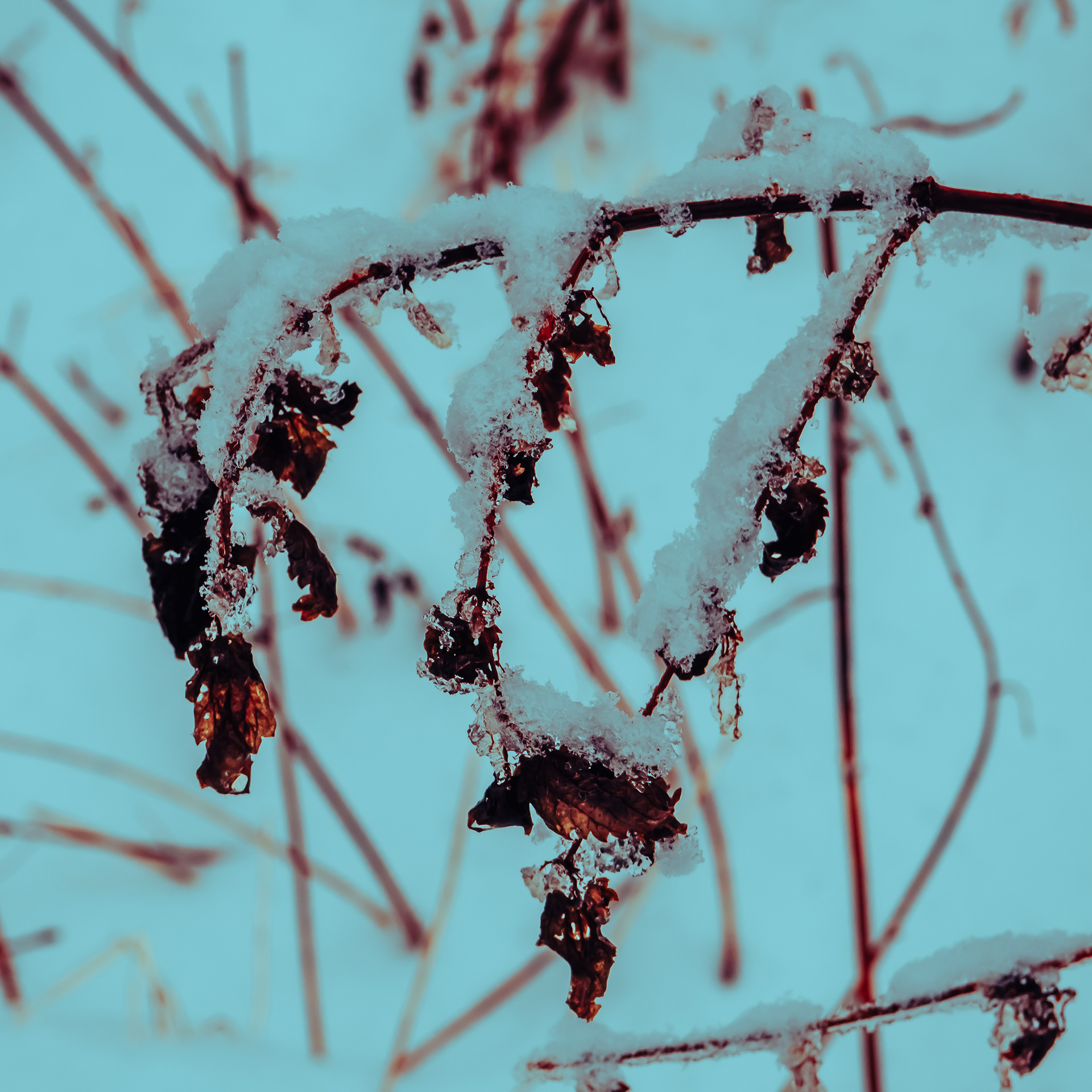 23/365