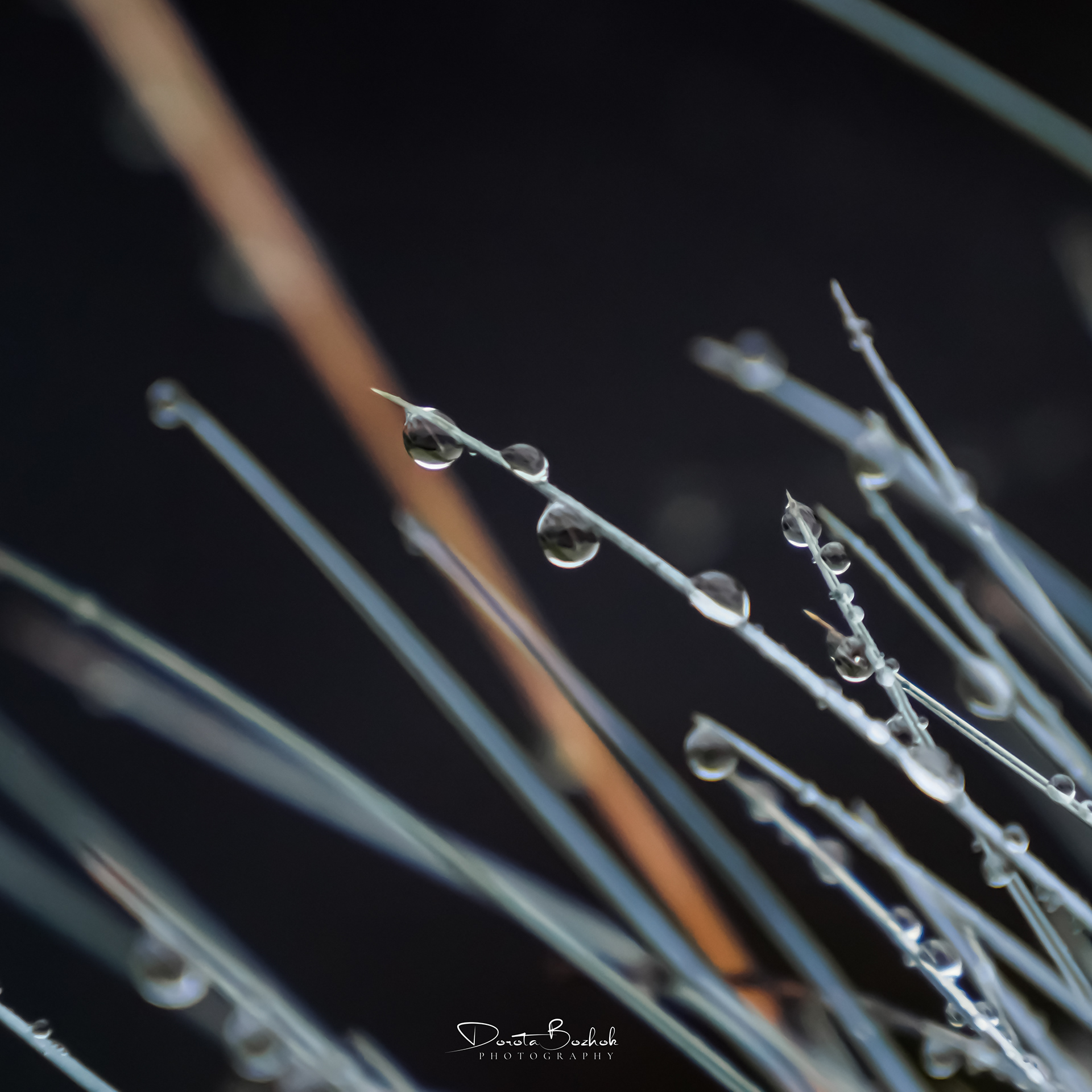 240/365
