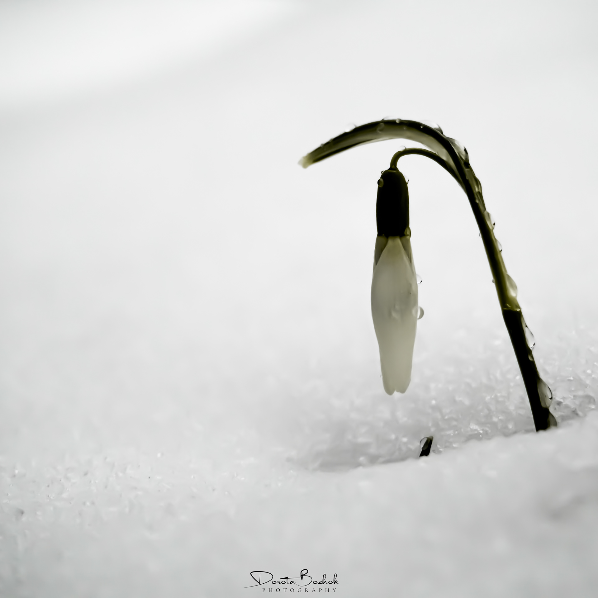 67/365