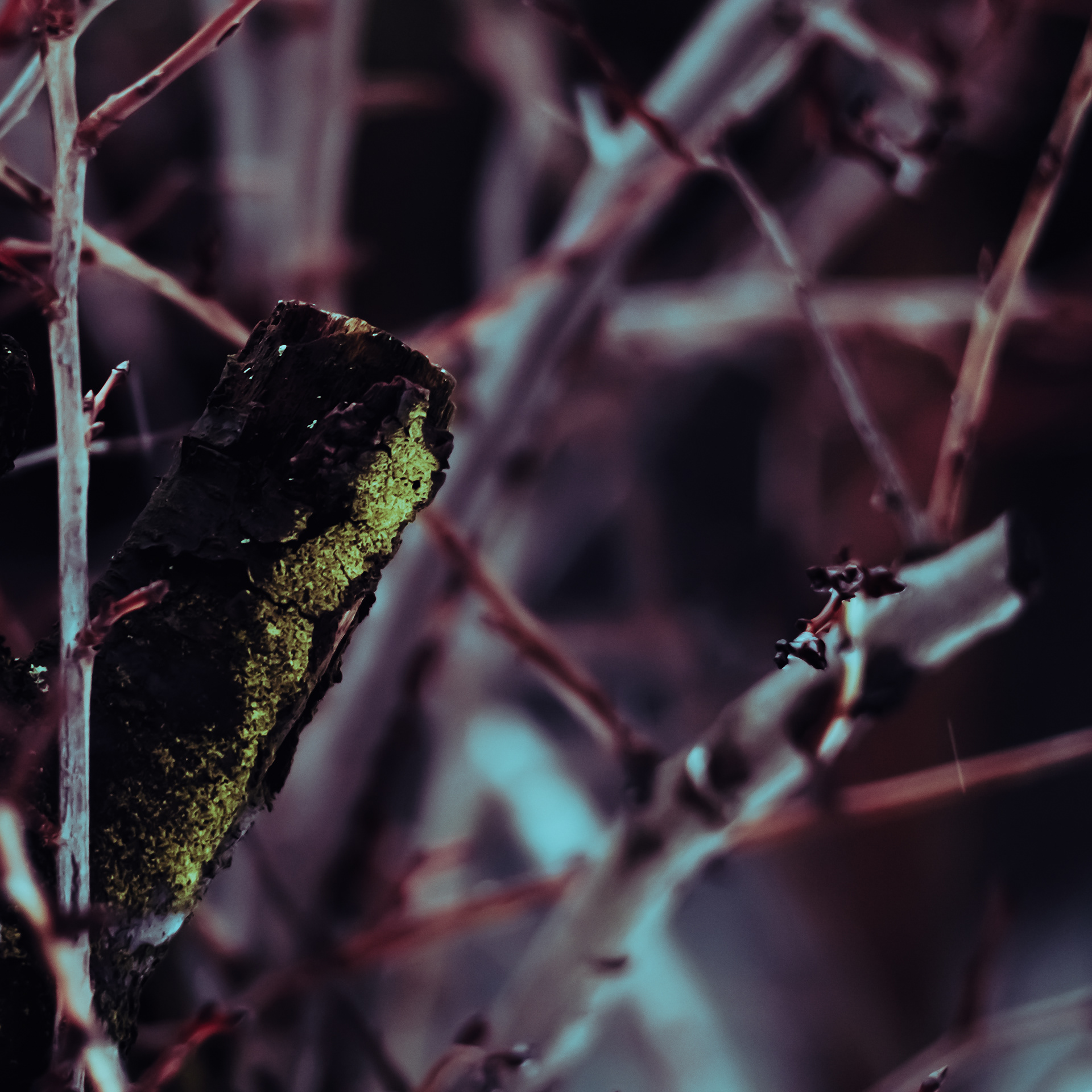 32/365