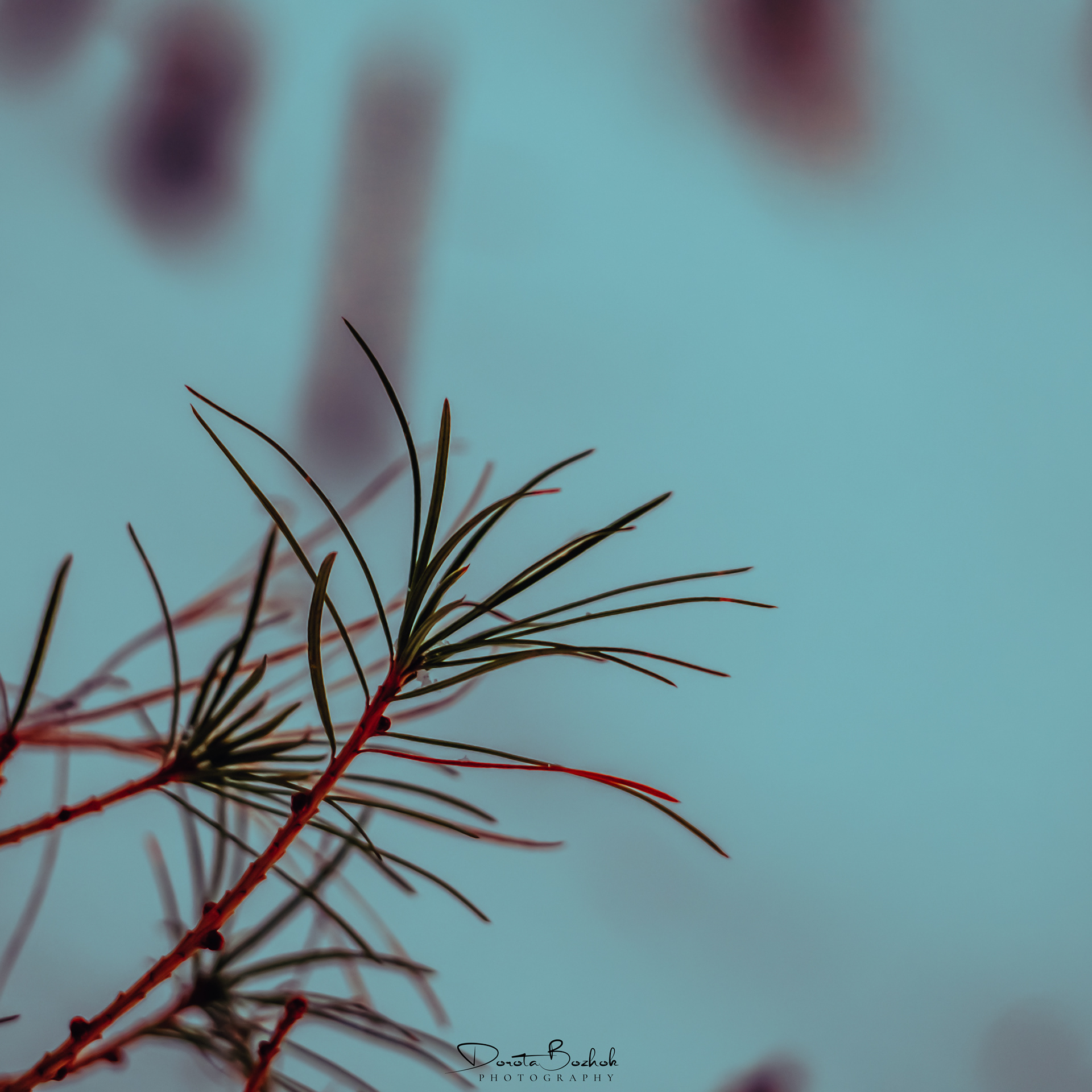64/365