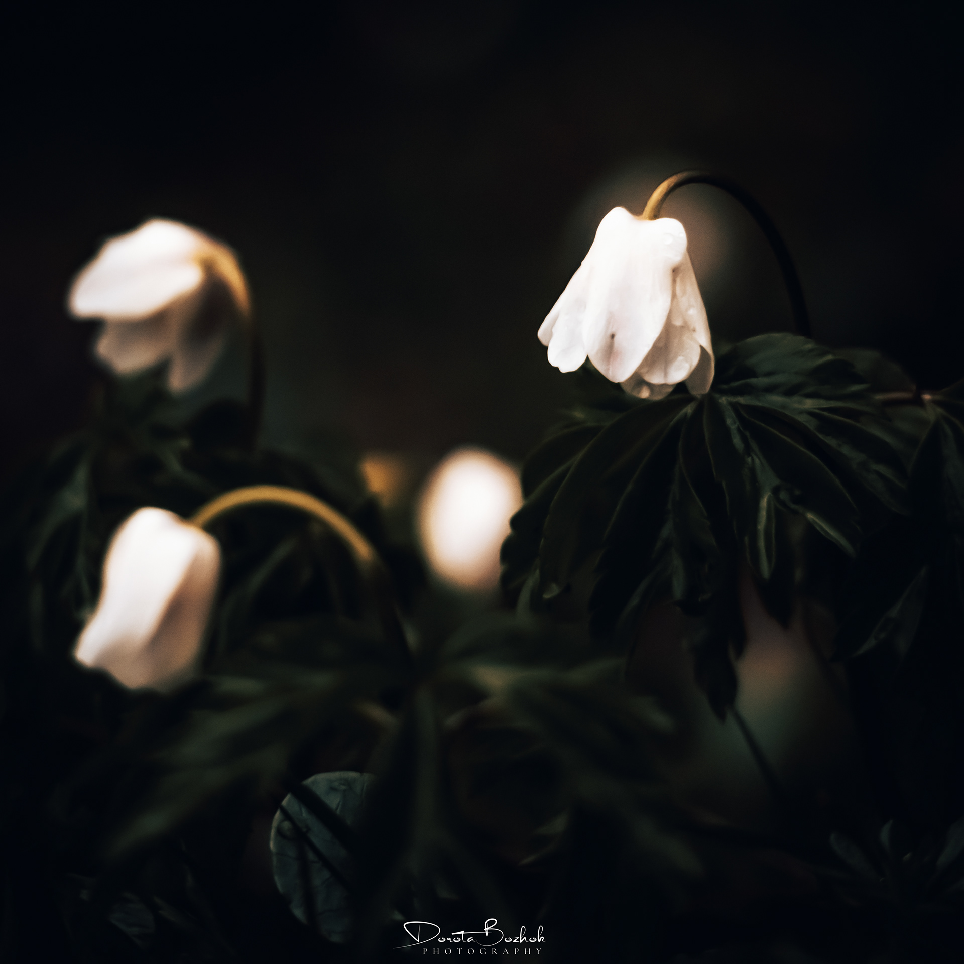 89/365