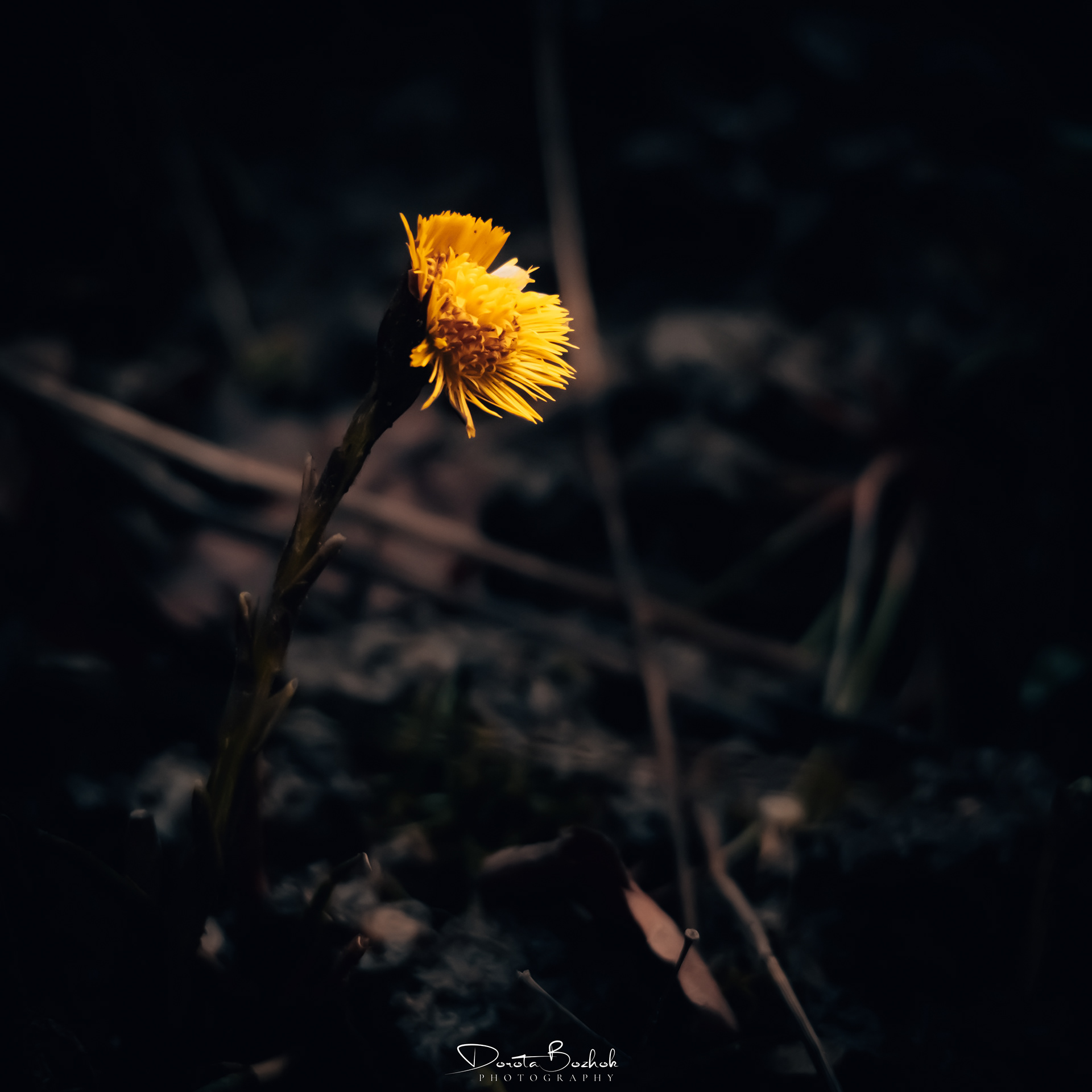 90/365