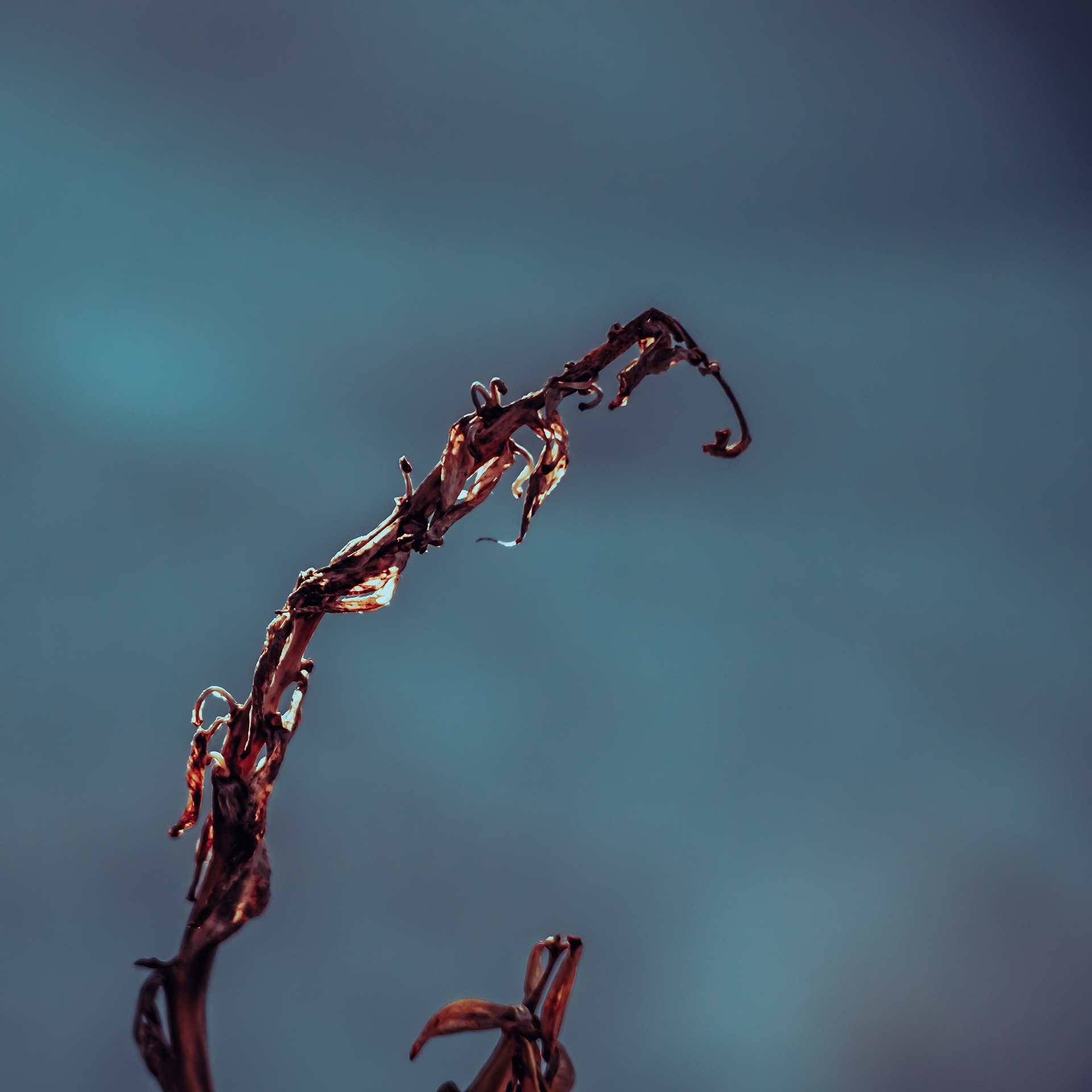 40/365