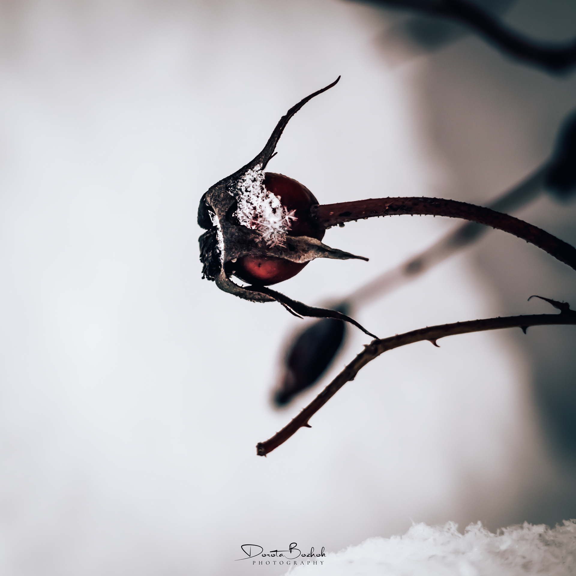 58/365