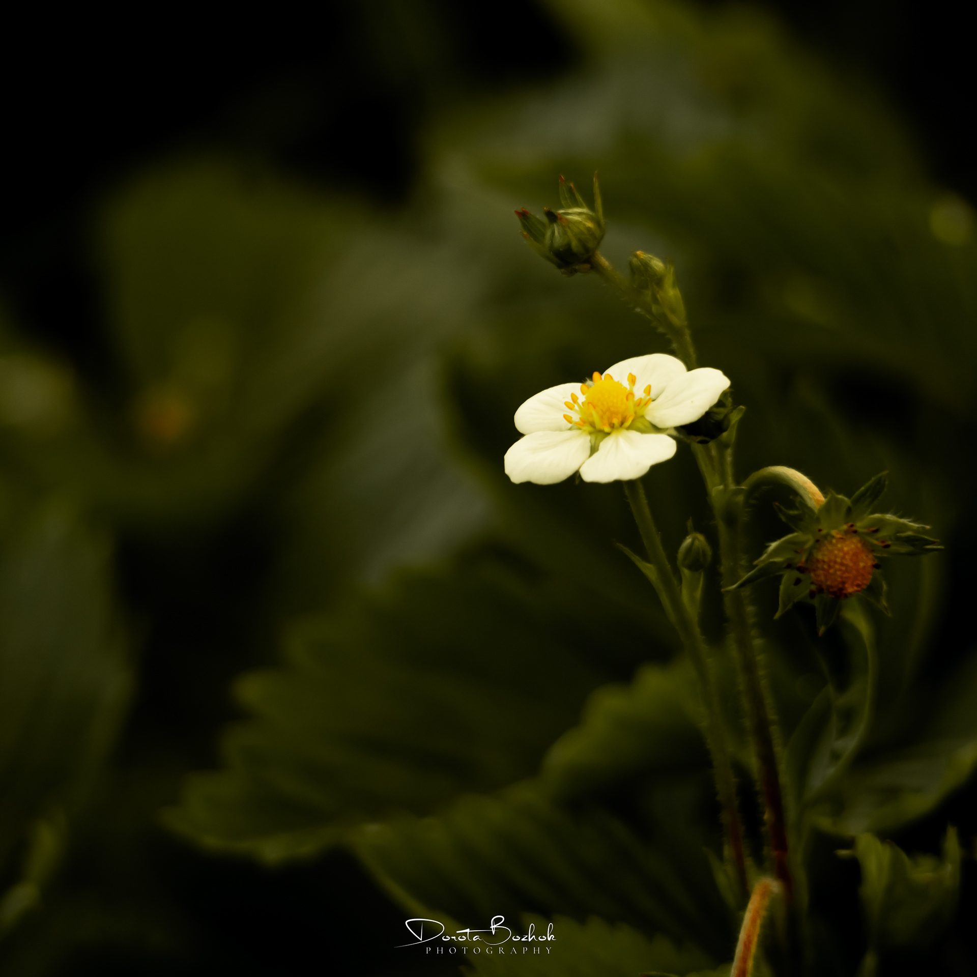152/365