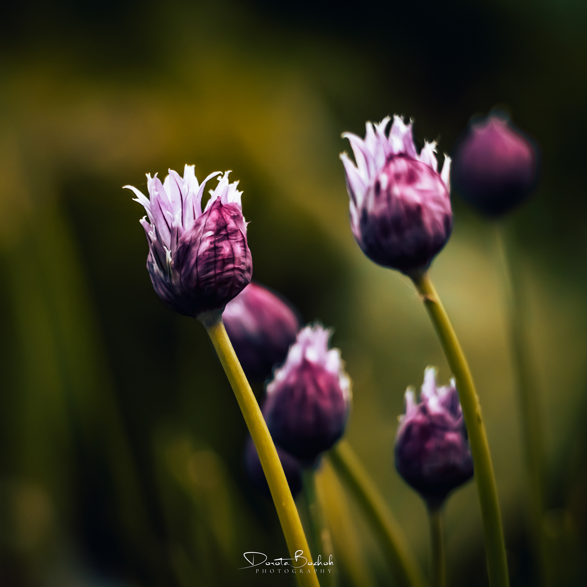 147/365