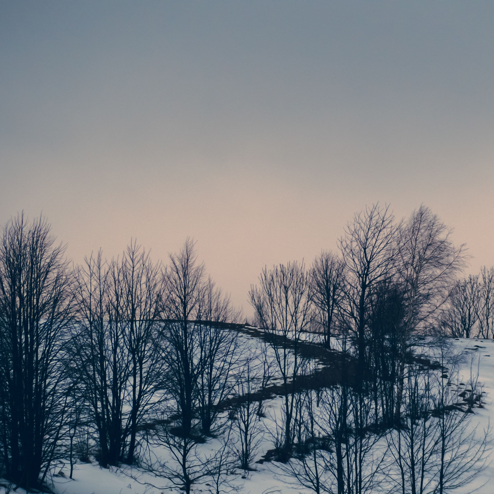 42/365