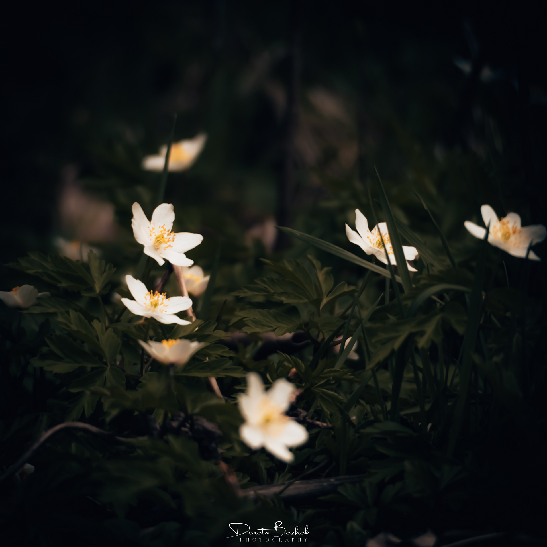 100/365