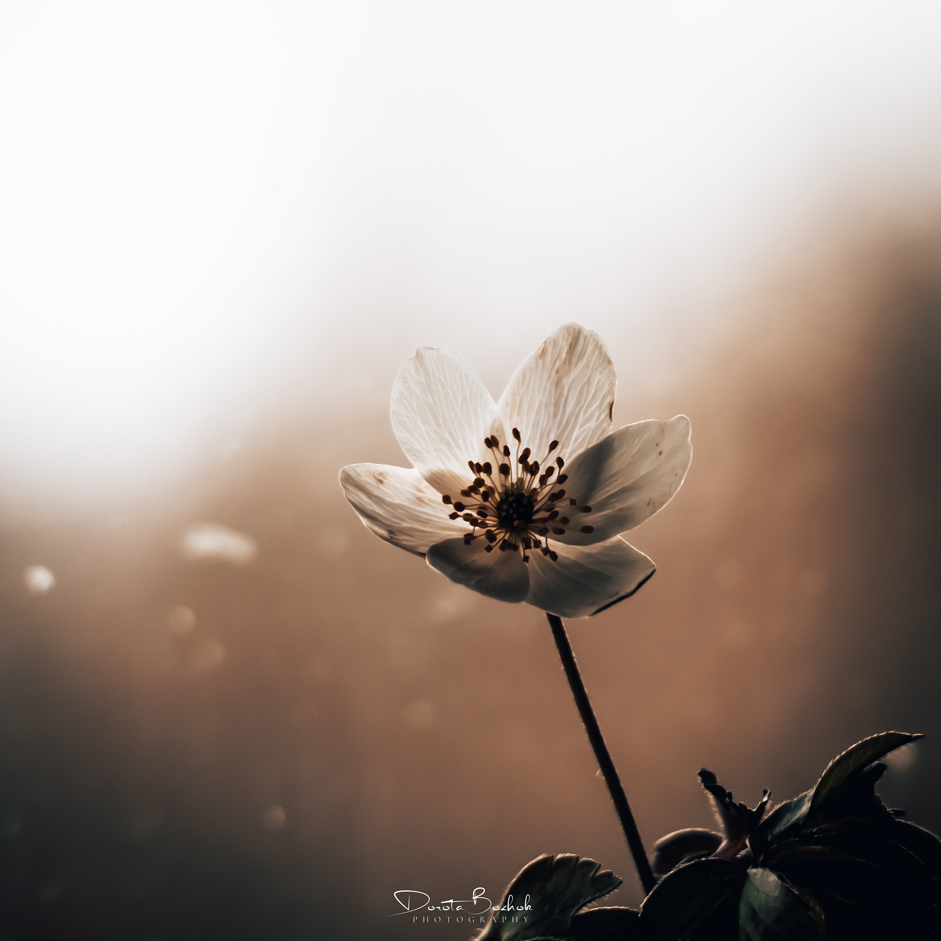 99/365