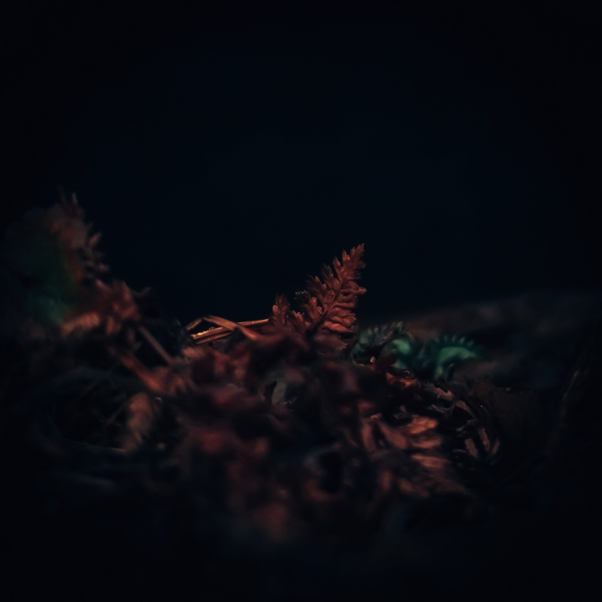 52/365