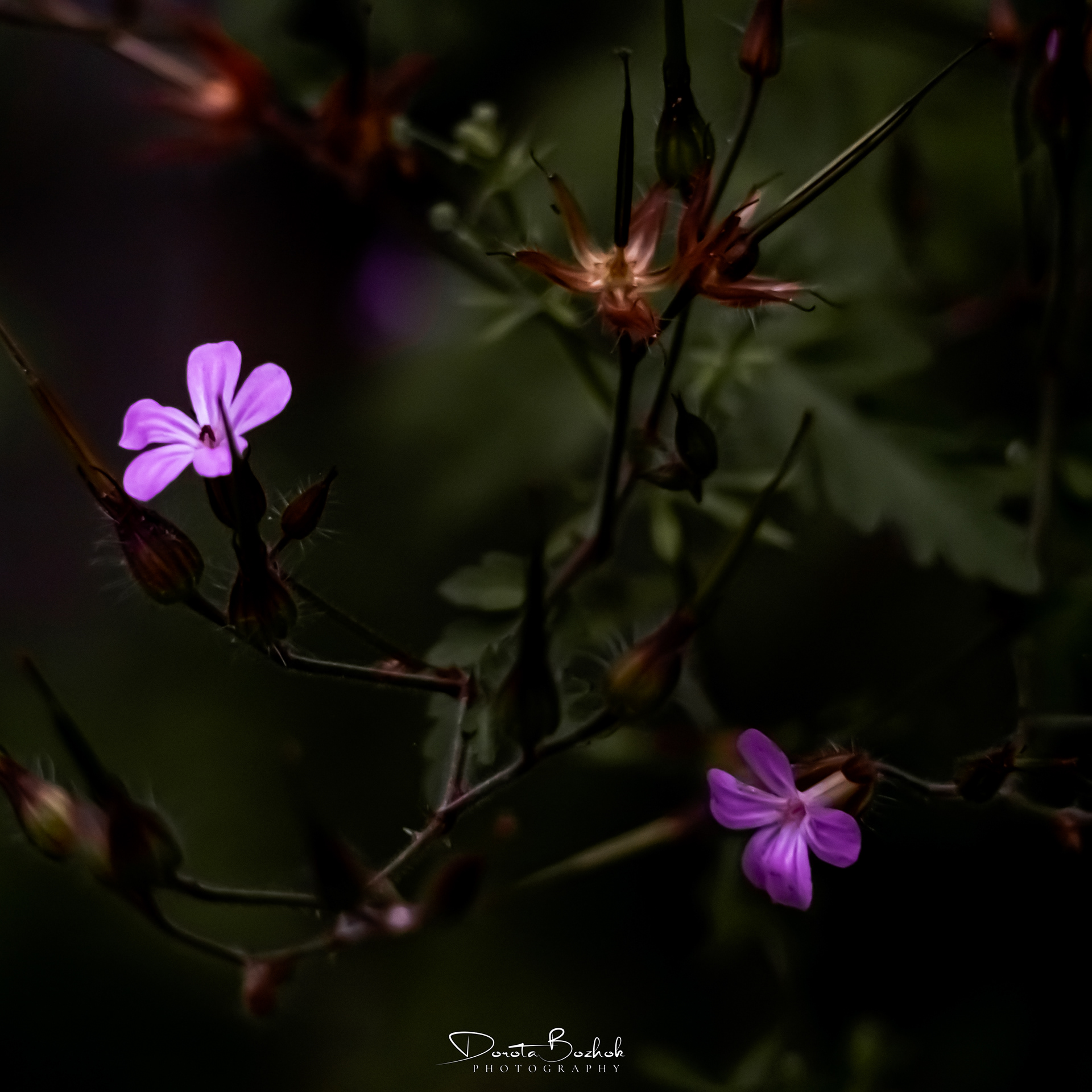 186/365