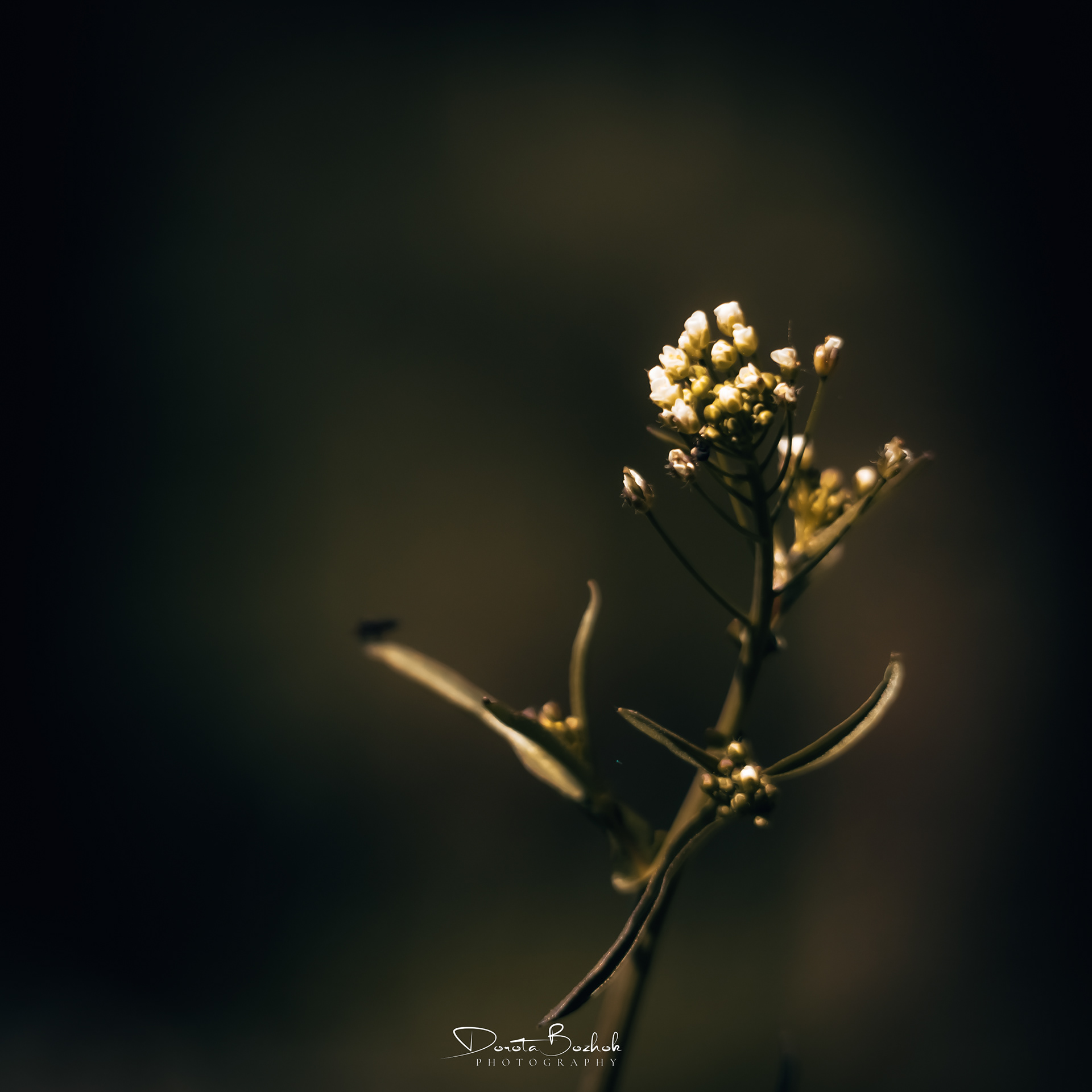 149/365