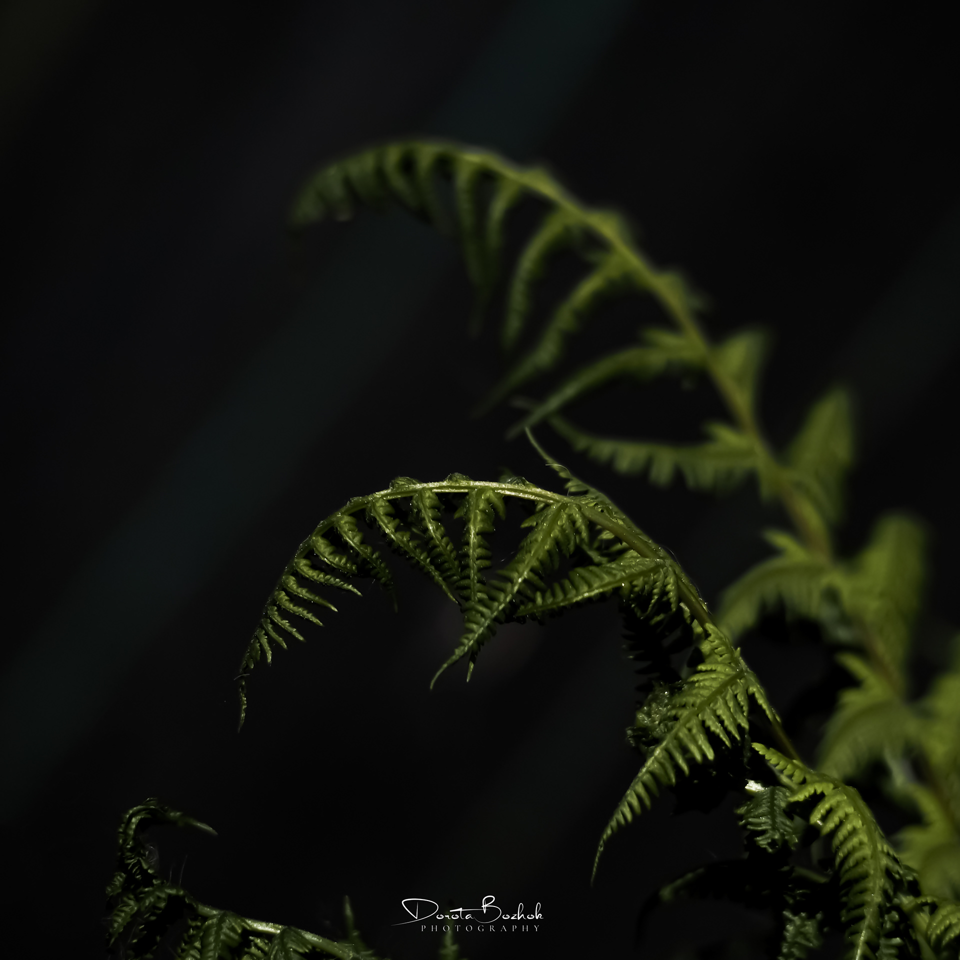 130/365