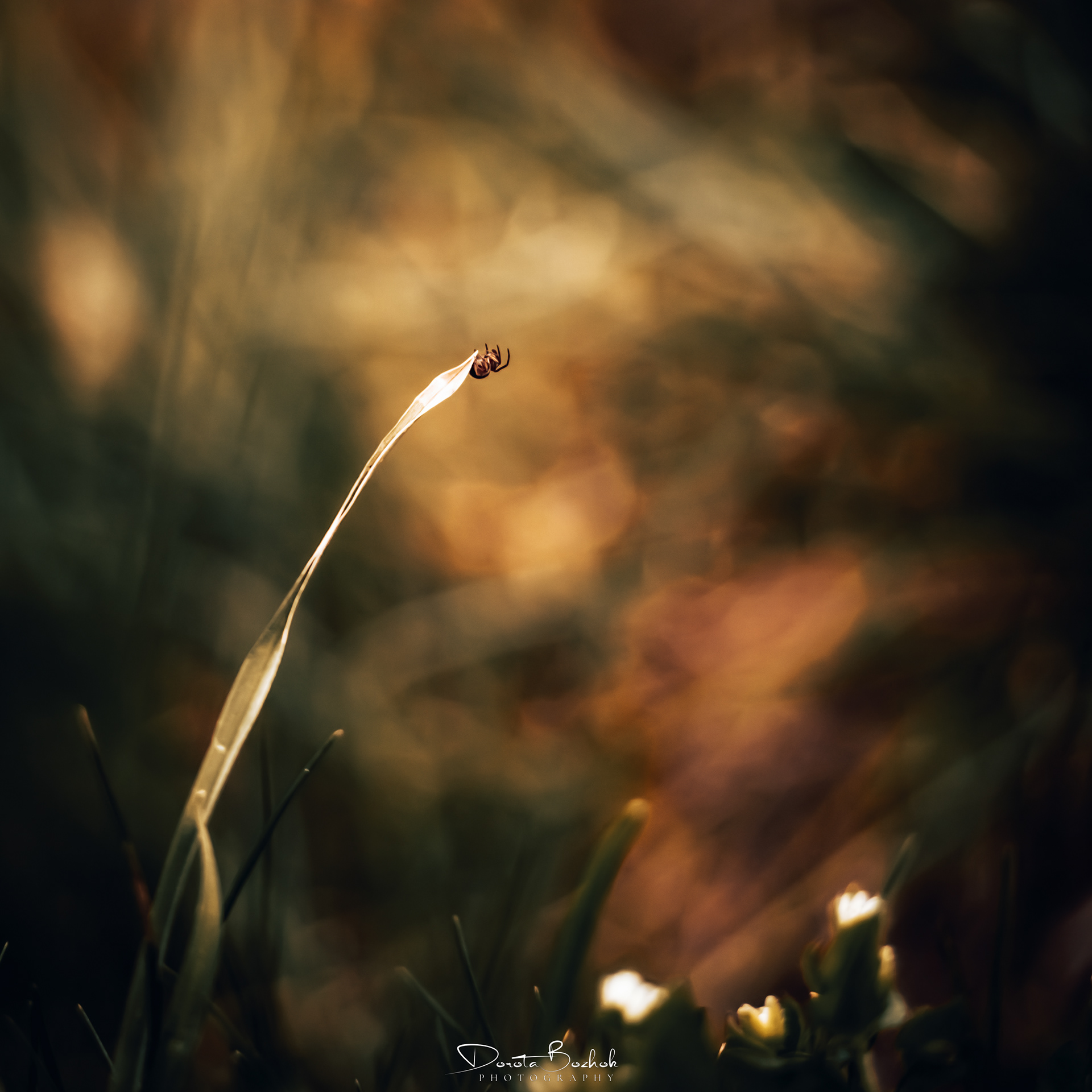 95/365