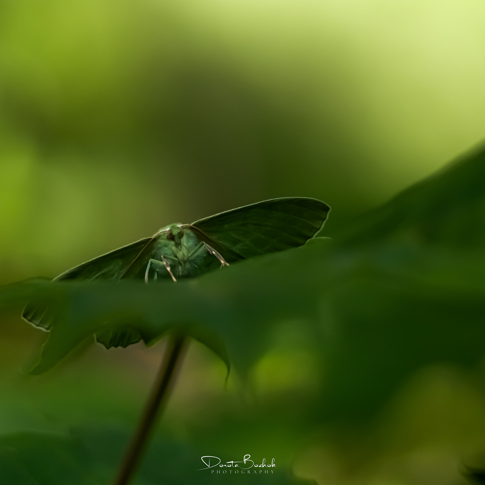 175/365