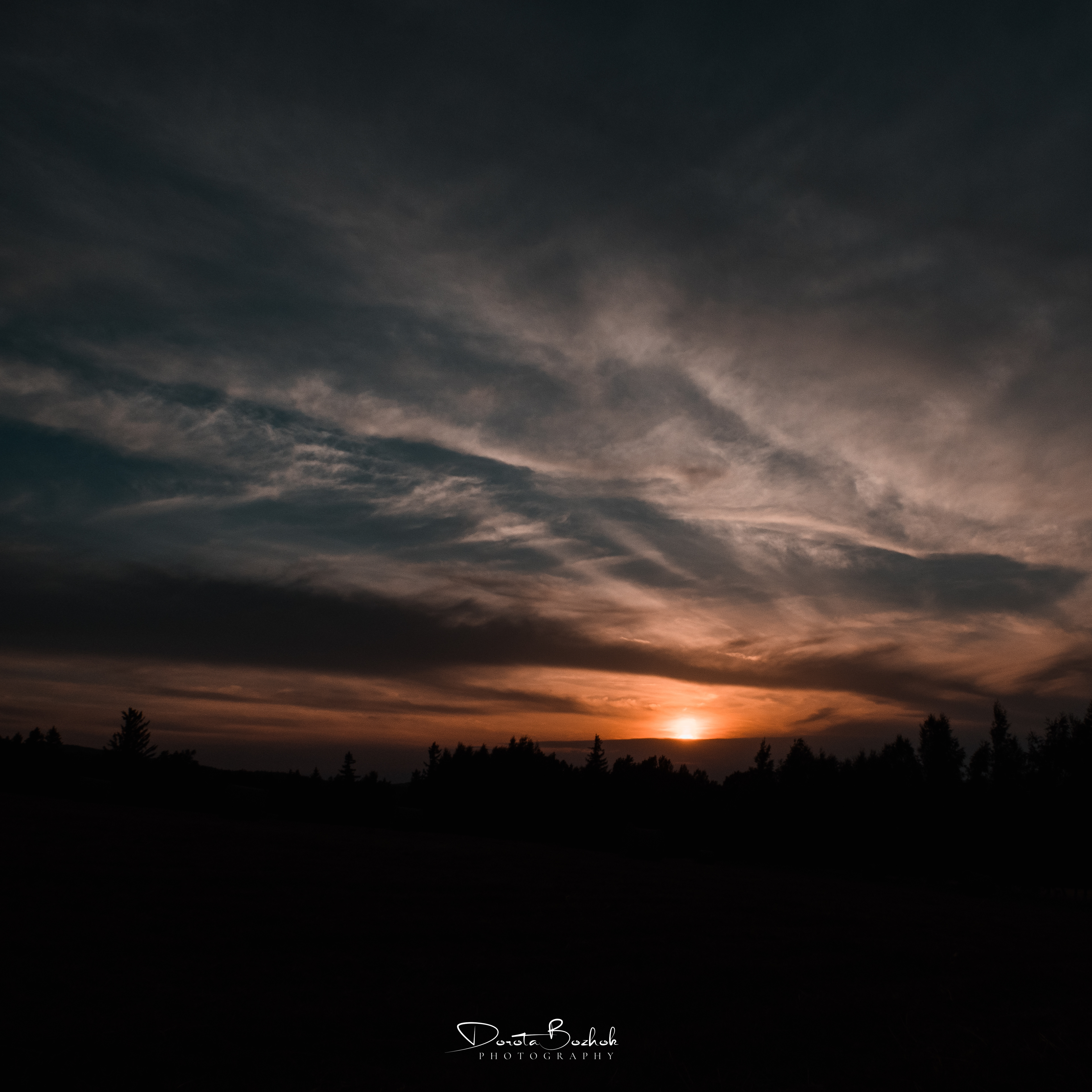 235/365