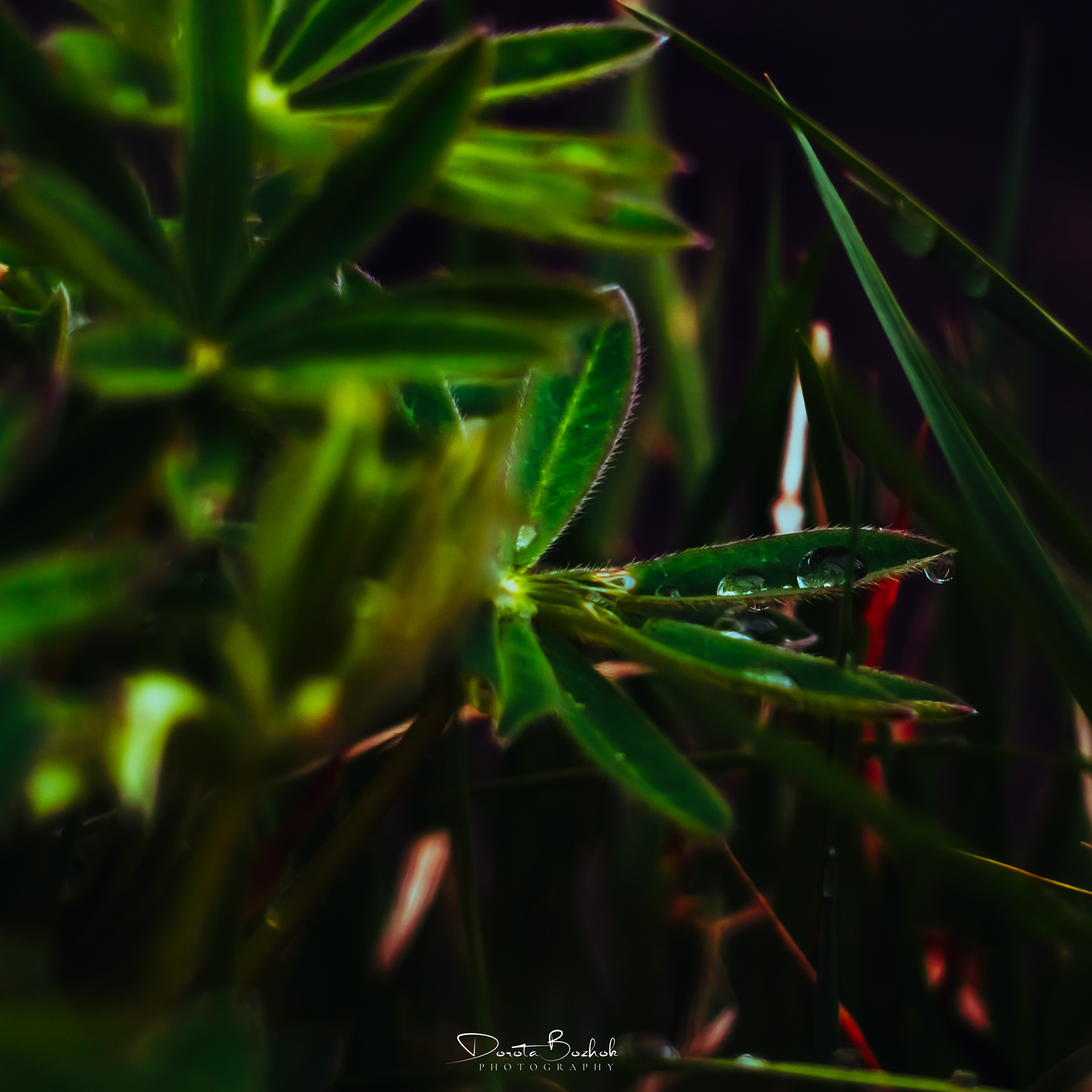 105/365