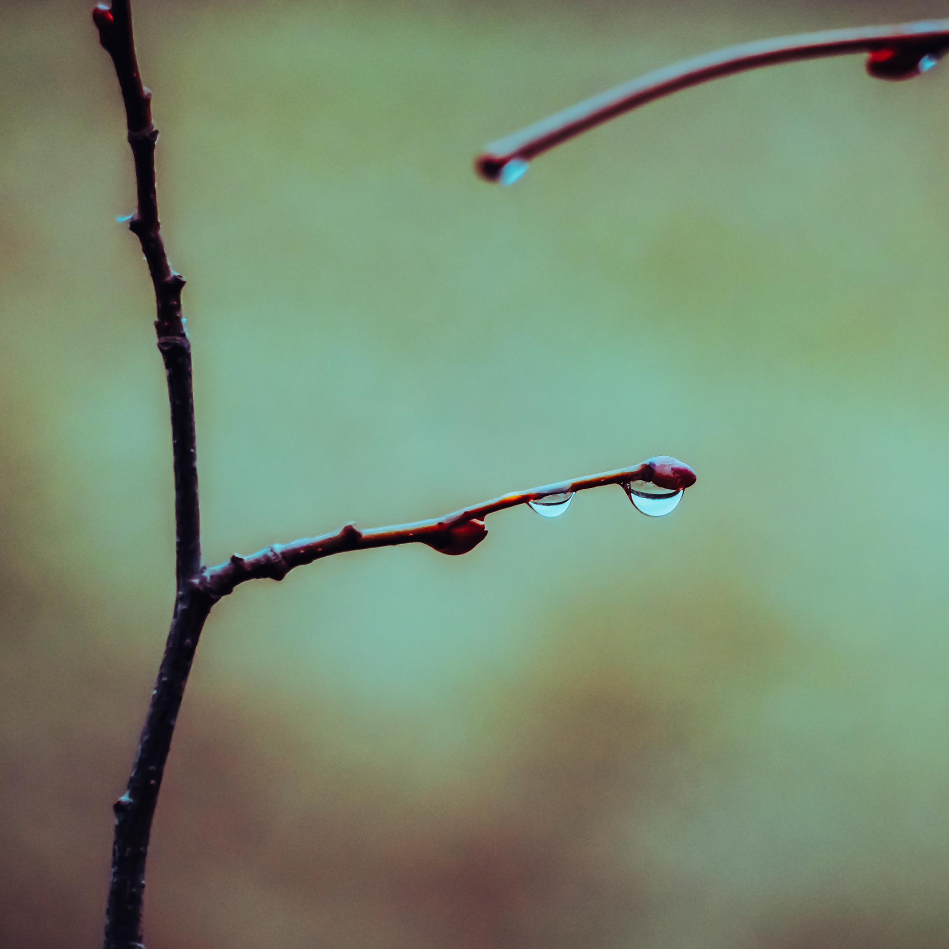50/365